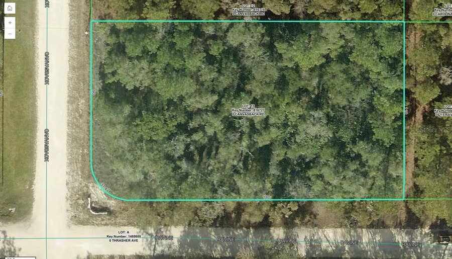 Property photo for 15026 CANVASBACK ROAD, Weeki Wachee, FL