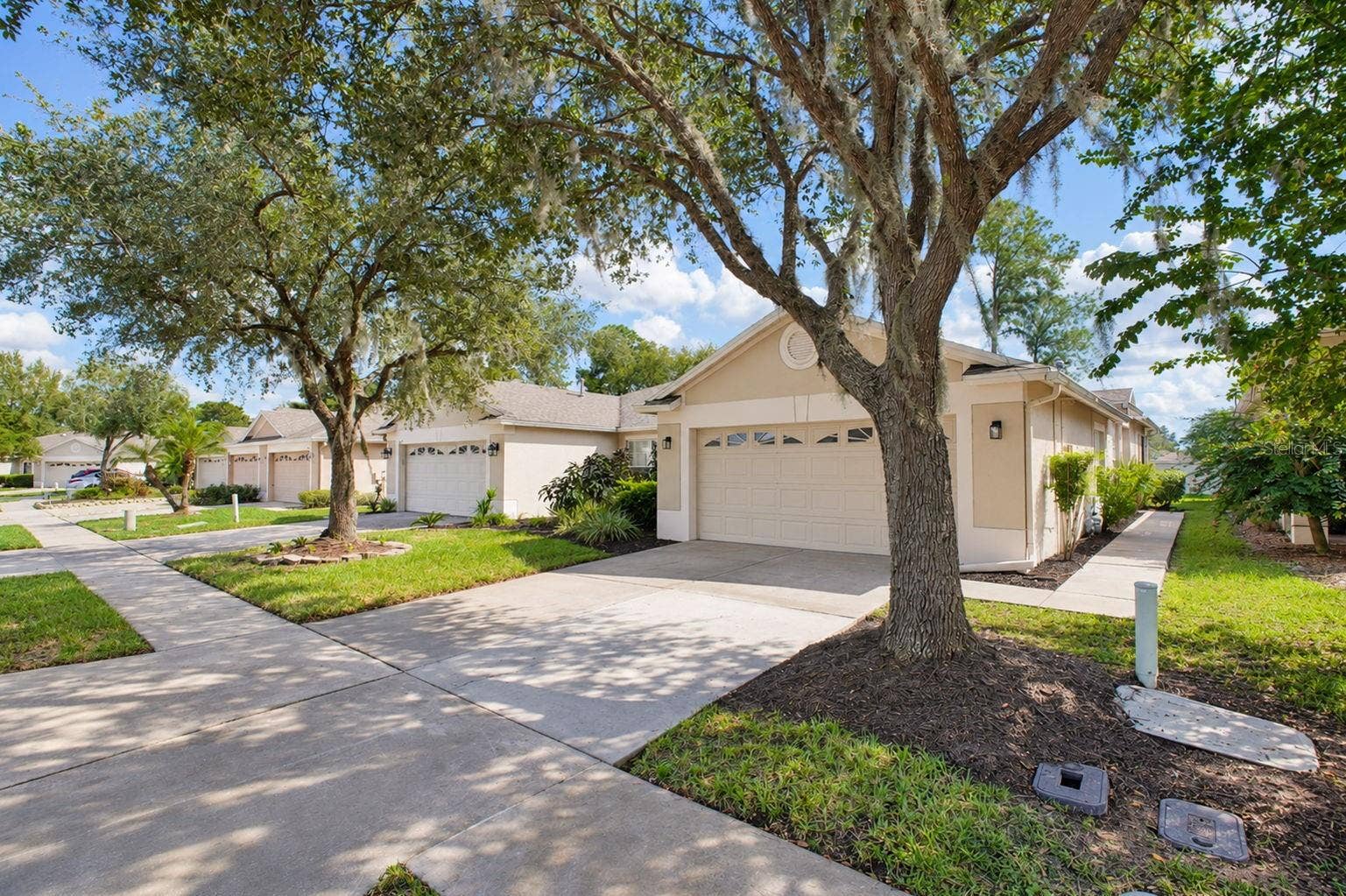 31421 SHAKER CIRCLE, Wesley Chapel, FL 33543 Side Exterior