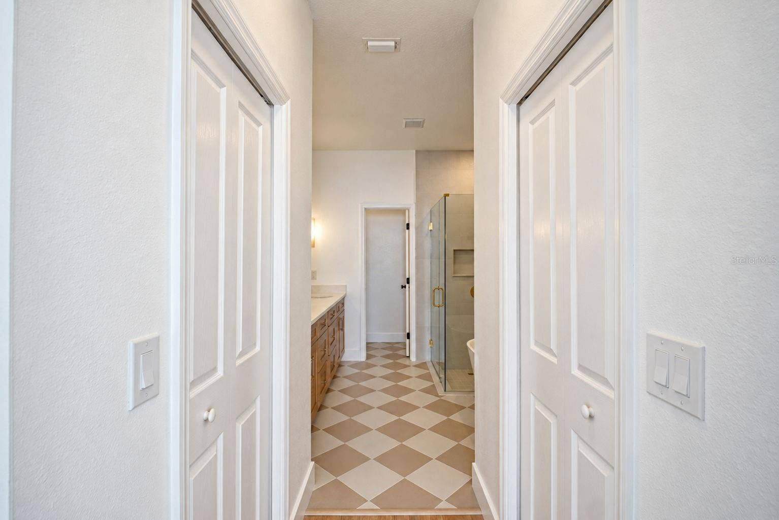 31421 SHAKER CIRCLE, Wesley Chapel, FL 33543 Main Bathroom Hallway