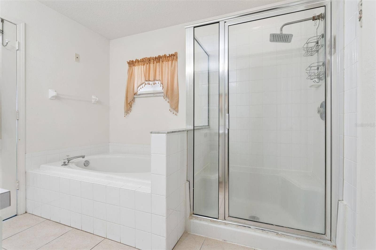 13233 EARLY RUN LANE, Riverview, FL 33578