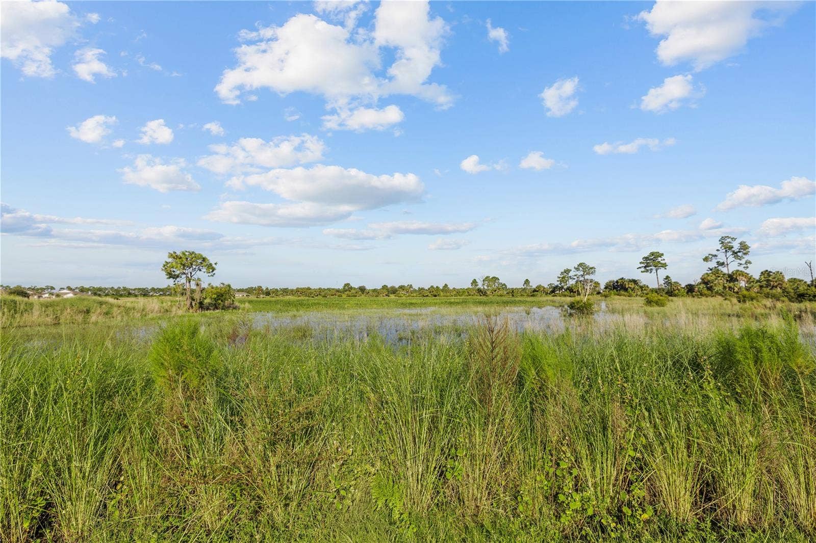 17740 SHADE TREE LOOP, Punta Gorda, FL 33982 Conservation Area very quiet