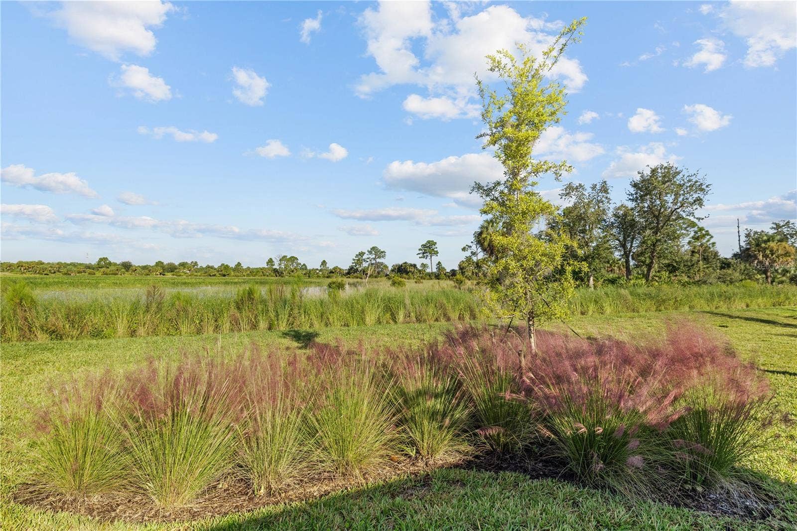 17740 SHADE TREE LOOP, Punta Gorda, FL 33982 Conservation View