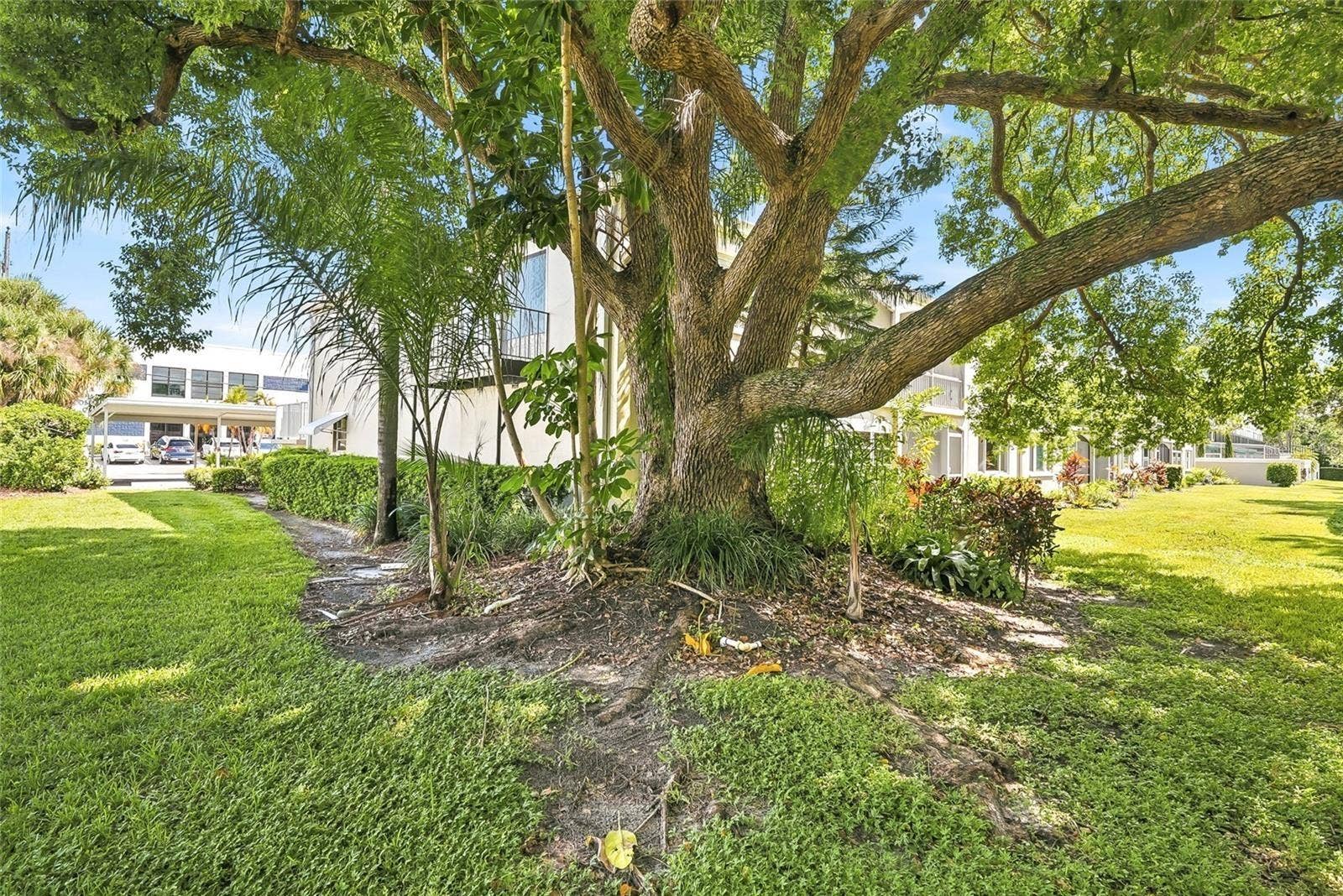919 OSCEOLA ROAD, #207, Belleair, FL 33756