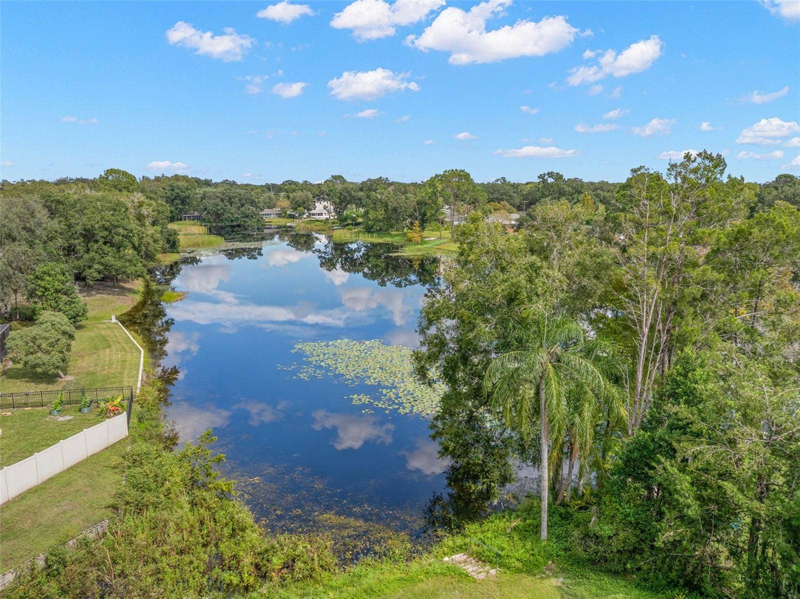 3013 GRAHAM LANE, Tampa, FL 33618 Enjoy the natural beauty of a peaceful waterfront setting, where the pond stretches beyond the backyard, framed by mature trees, lush greenery, and beautiful reflections on the water.