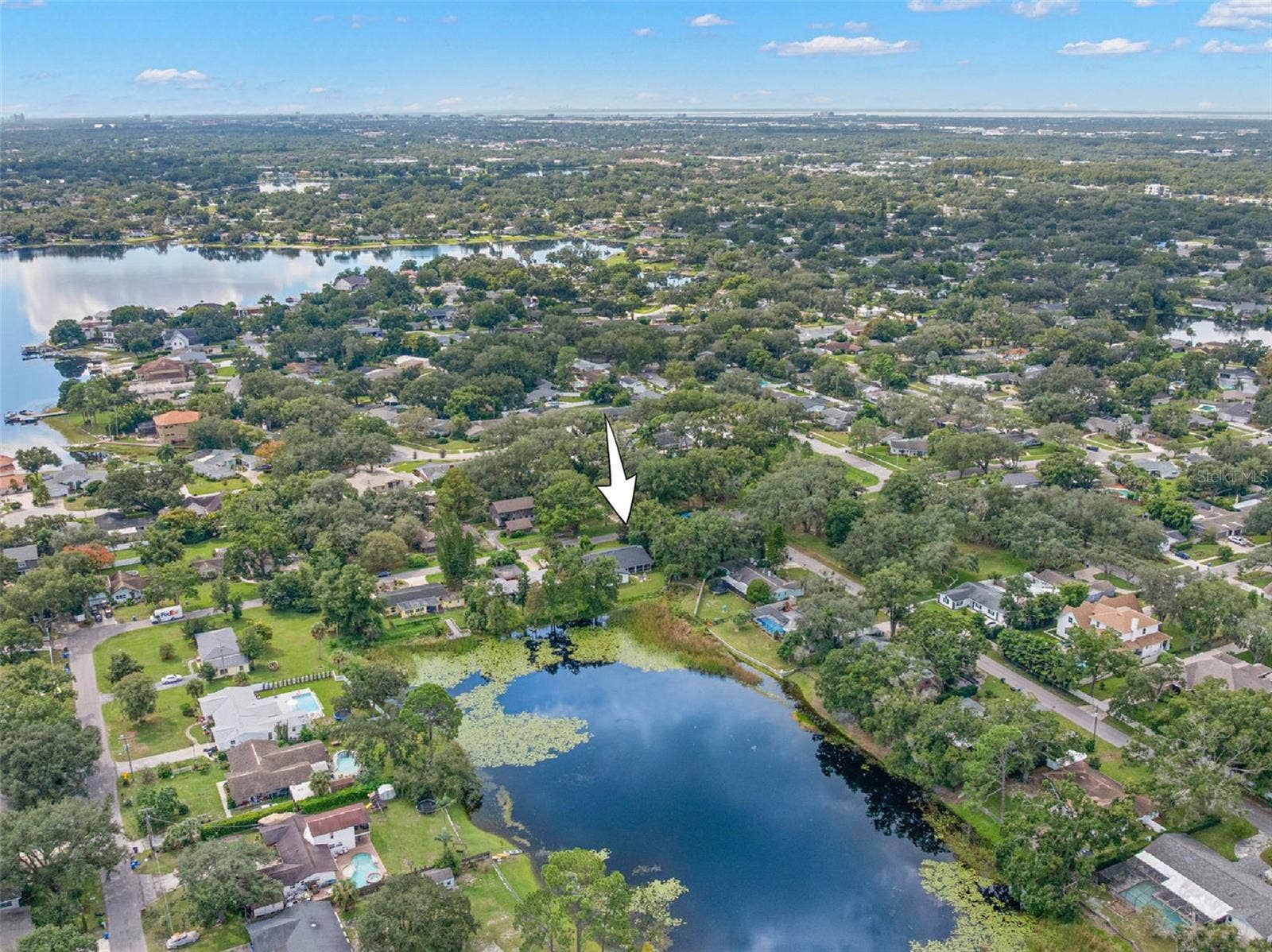 3013 GRAHAM LANE, Tampa, FL 33618 A bird's-eye perspective highlights the home's waterfront setting, with a tranquil pond bordering the backyard and mature trees throughout the surrounding Carrollwood neighborhood.