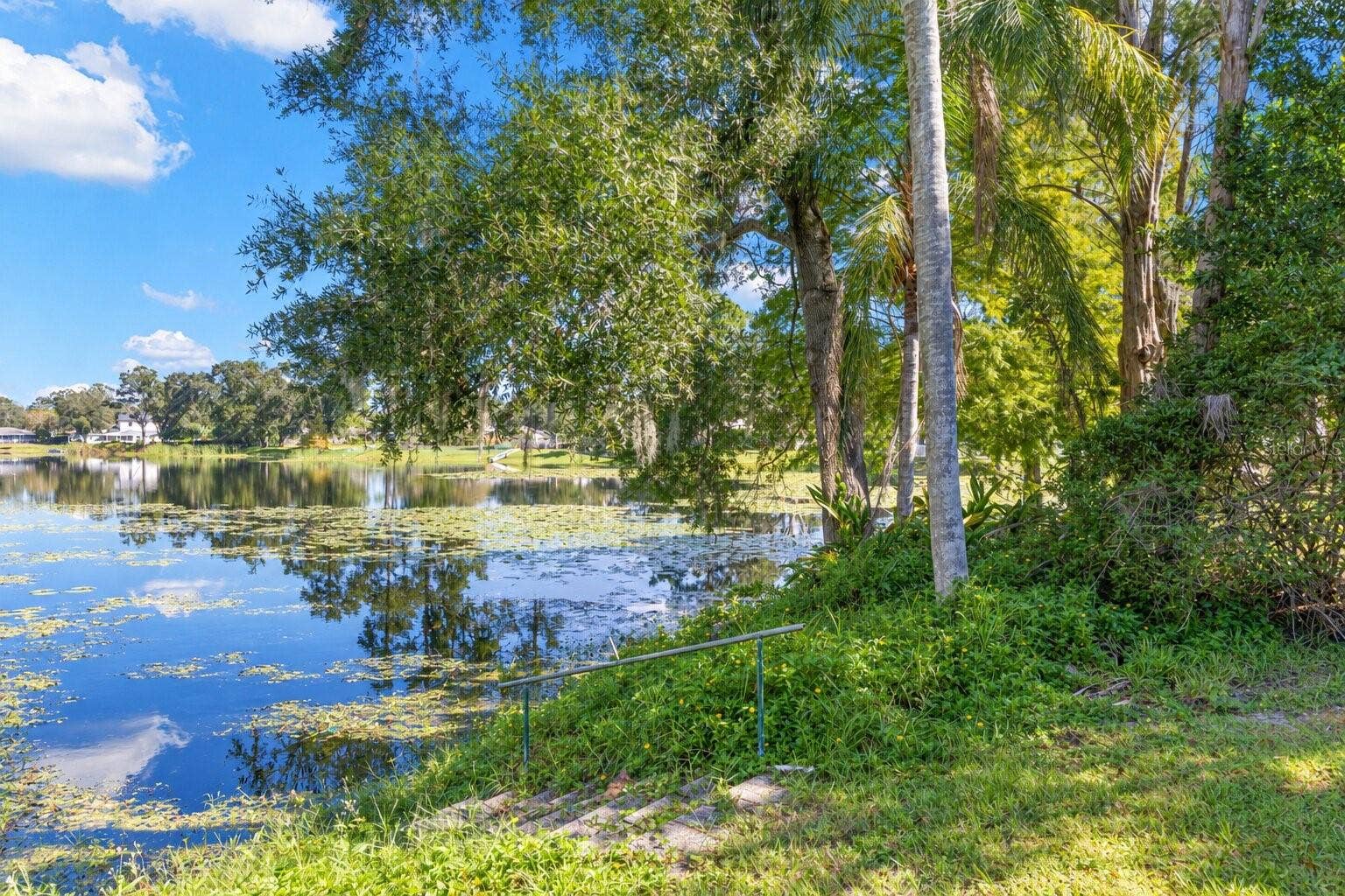 3013 GRAHAM LANE, Tampa, FL 33618 Discover a peaceful waterfront retreat right in your backyard! Mature trees and tropical greenery frame the picturesque pond, where shimmering reflections and natural surroundings create a beautiful setting. Stone steps with a handrail lead toward the water's edge.