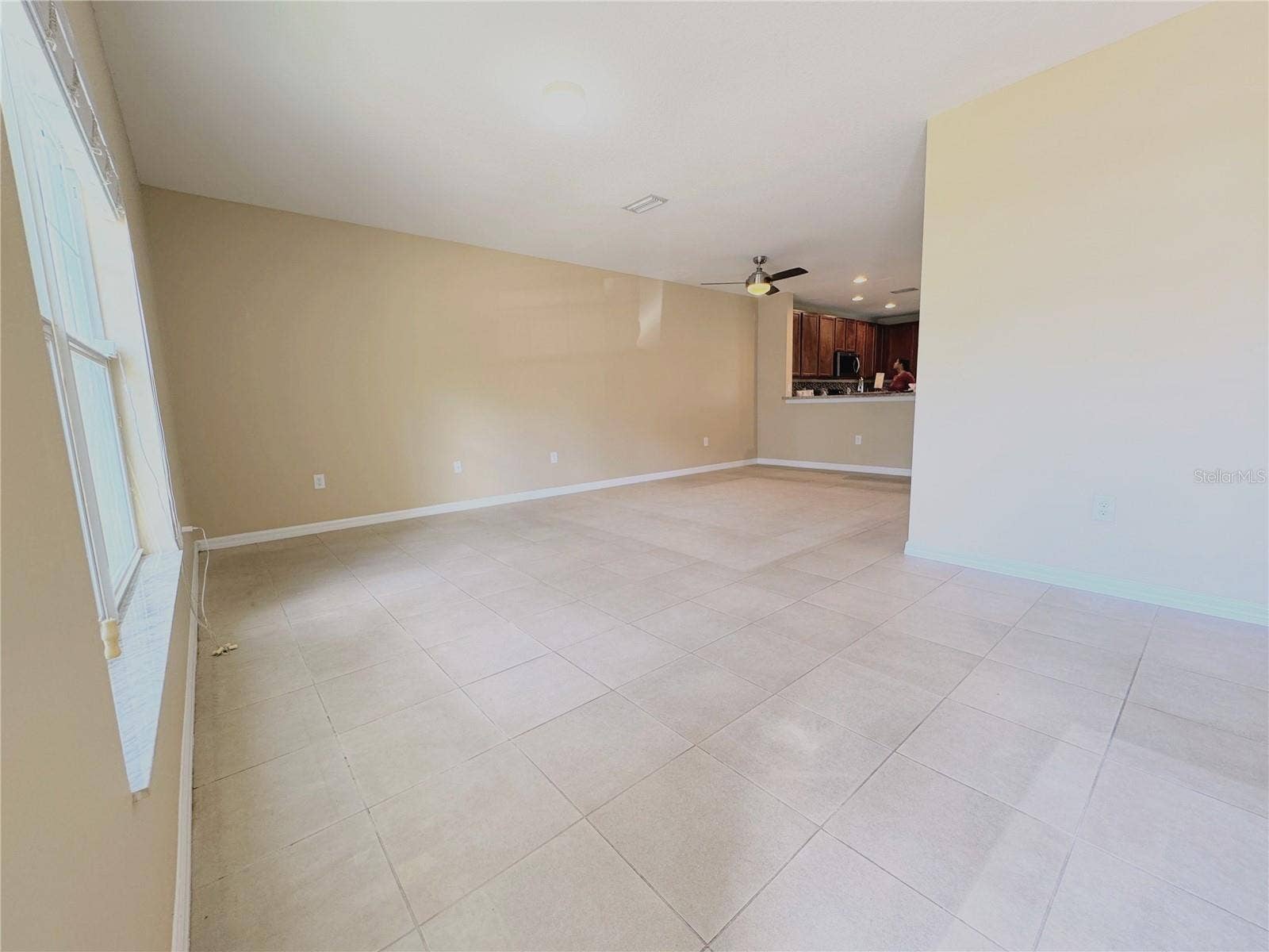 6703 46TH LANE N, Pinellas Park, FL 33781 Living