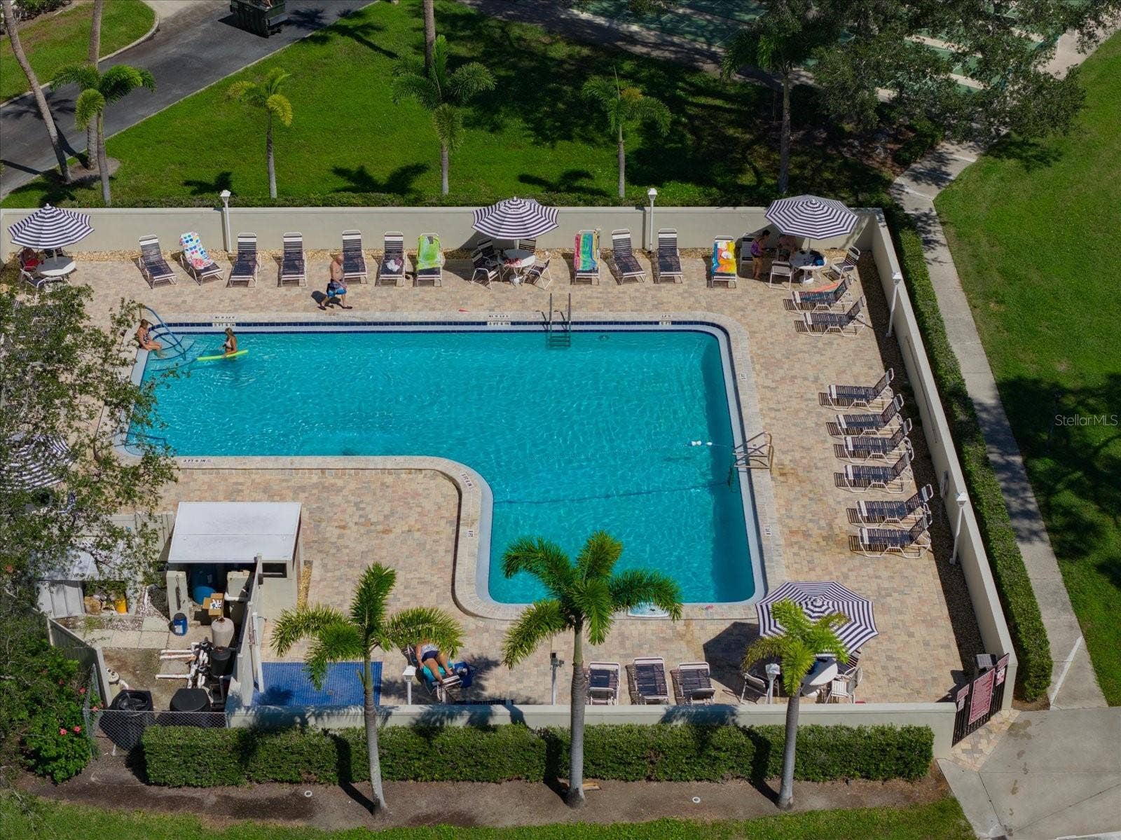 2700 BAYSHORE BOULEVARD, #11404, Dunedin, FL 34698 Community pool