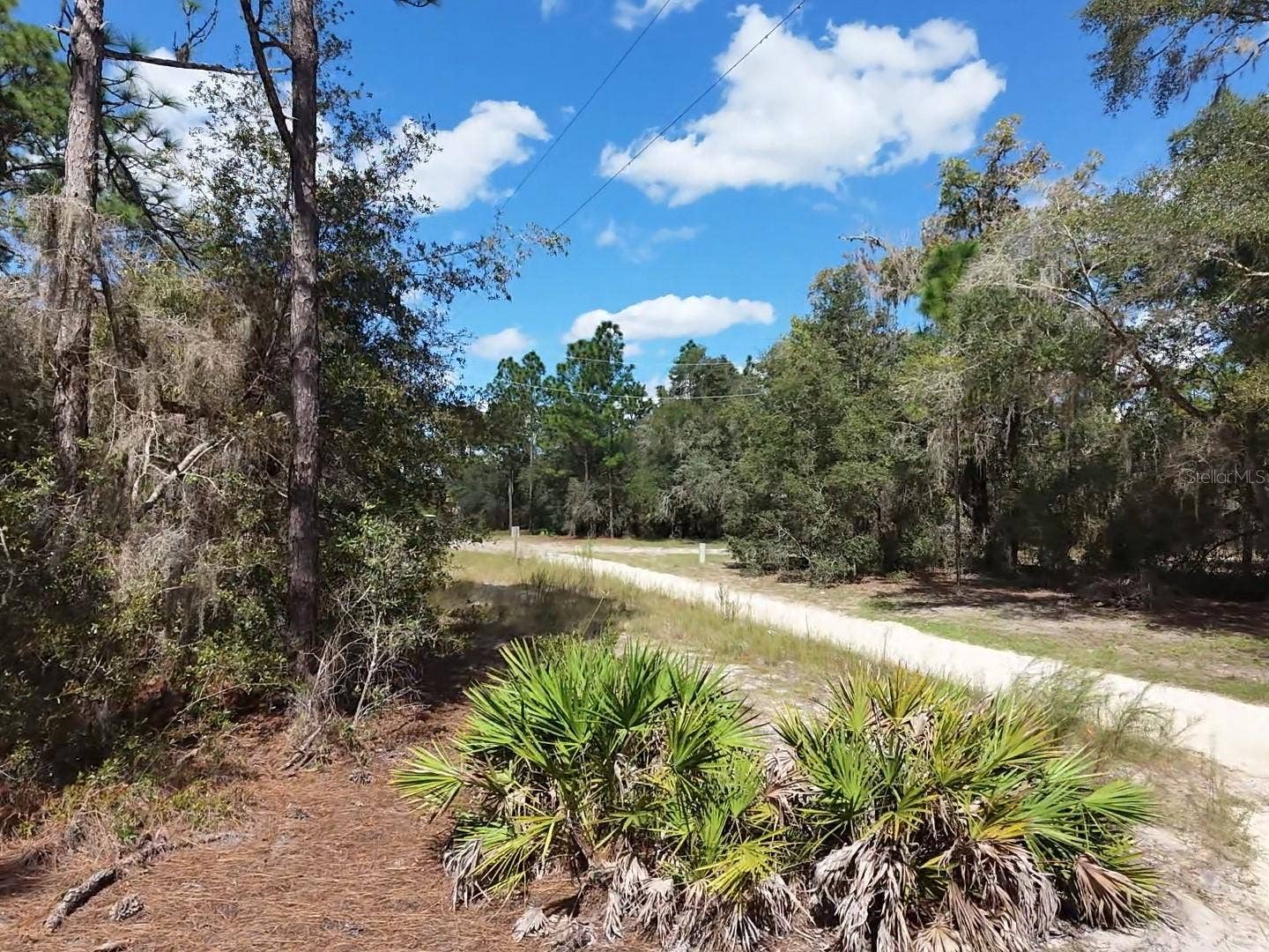 7416 N NATHAN POINT, Crystal River, FL 34428 Looking North on Nathan Drive