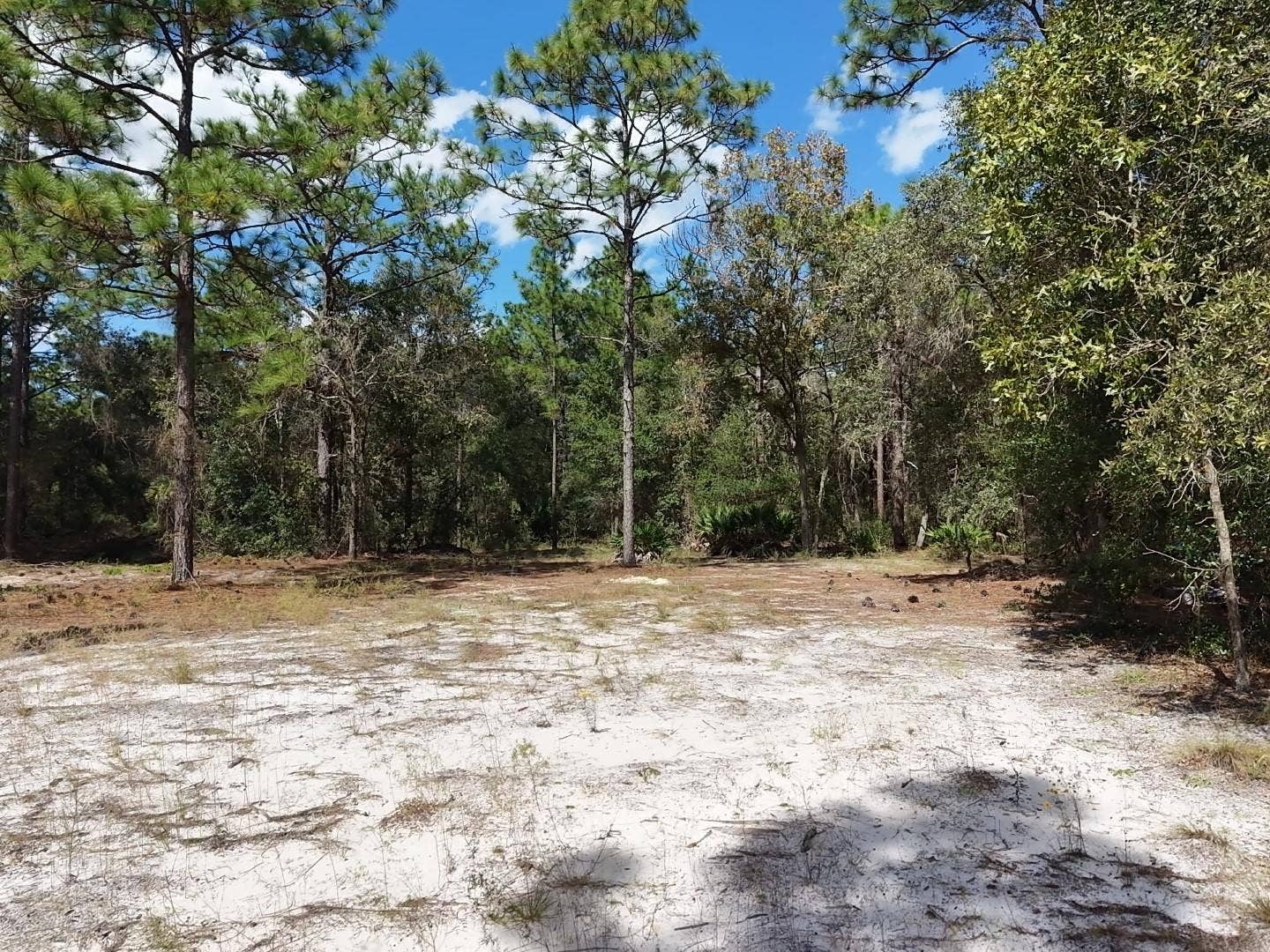 7416 N NATHAN POINT, Crystal River, FL 34428 7416 N NATHAN POINT, Crystal River, FL 34428