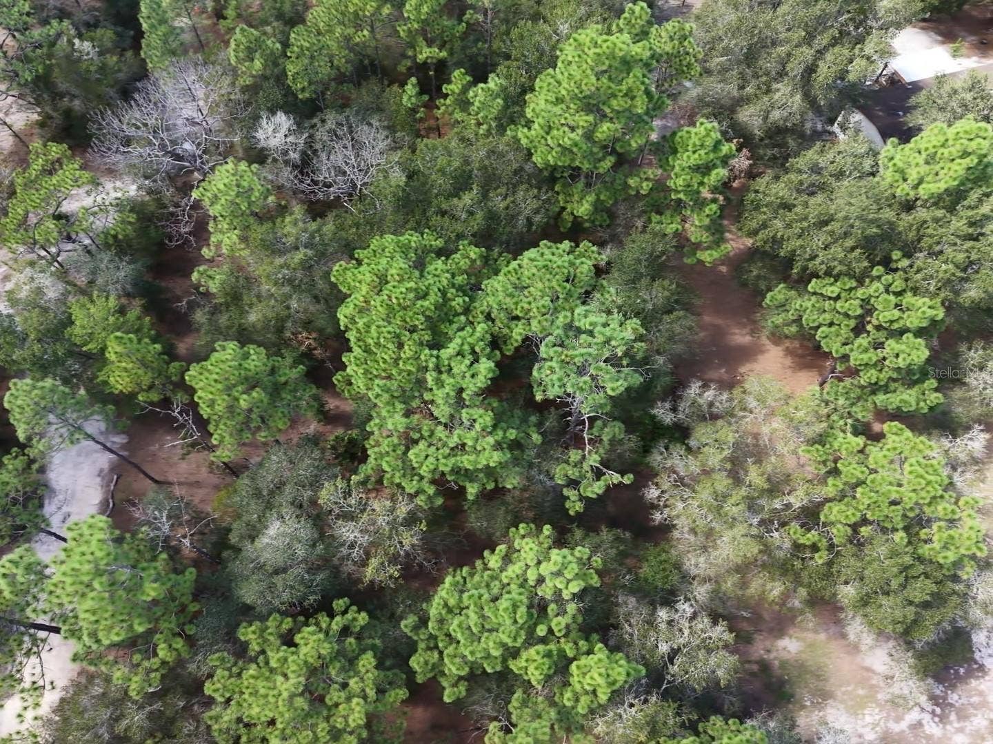 7416 N NATHAN POINT, Crystal River, FL 34428 7416 N NATHAN POINT, Crystal River, FL 34428