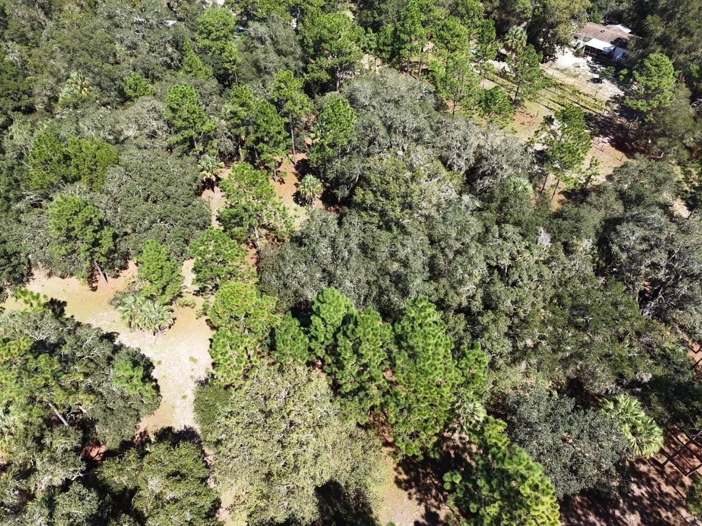 7416 N NATHAN POINT, Crystal River, FL 34428 7416 N NATHAN POINT, Crystal River, FL 34428