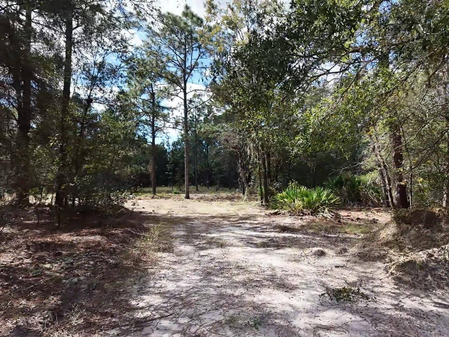 7416 N NATHAN POINT, Crystal River, FL 34428 Driveway Near Proposed Building Area