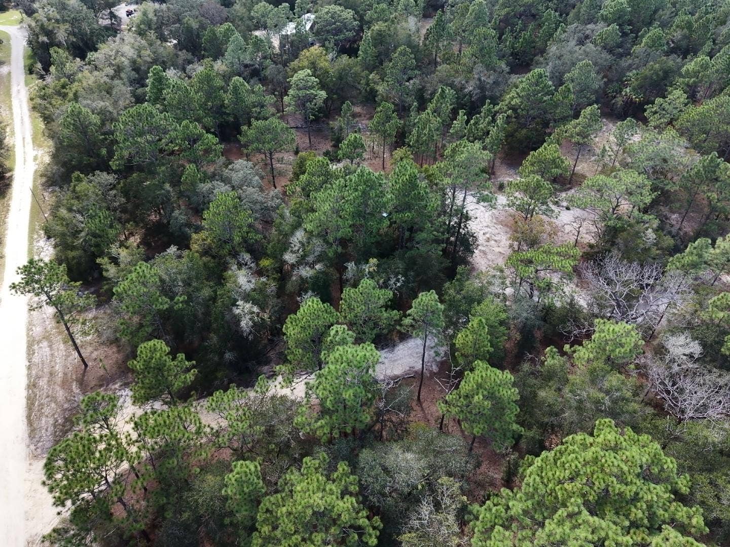 7416 N NATHAN POINT, Crystal River, FL 34428 7416 N NATHAN POINT, Crystal River, FL 34428