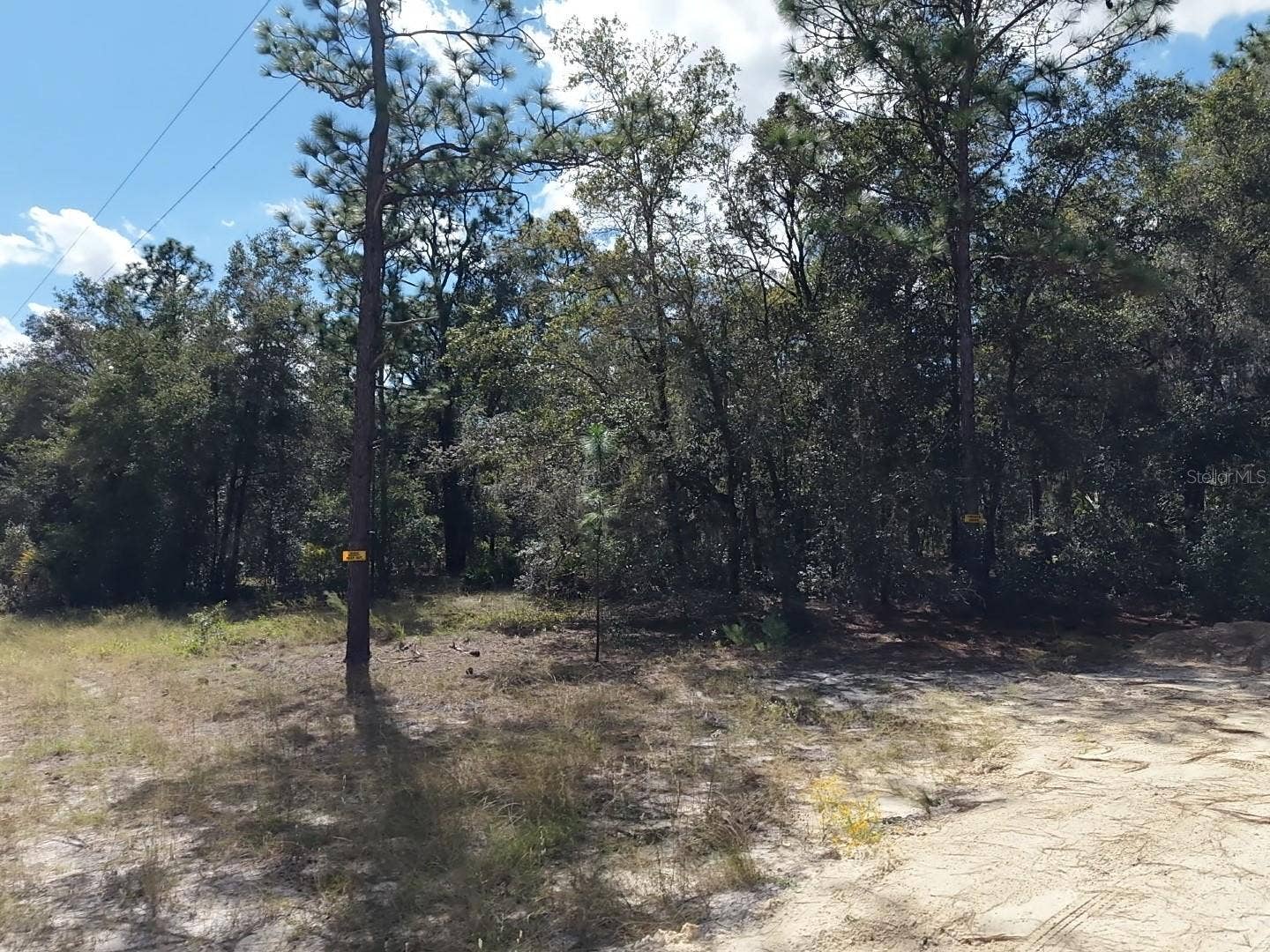 7416 N NATHAN POINT, Crystal River, FL 34428 7416 N NATHAN POINT, Crystal River, FL 34428