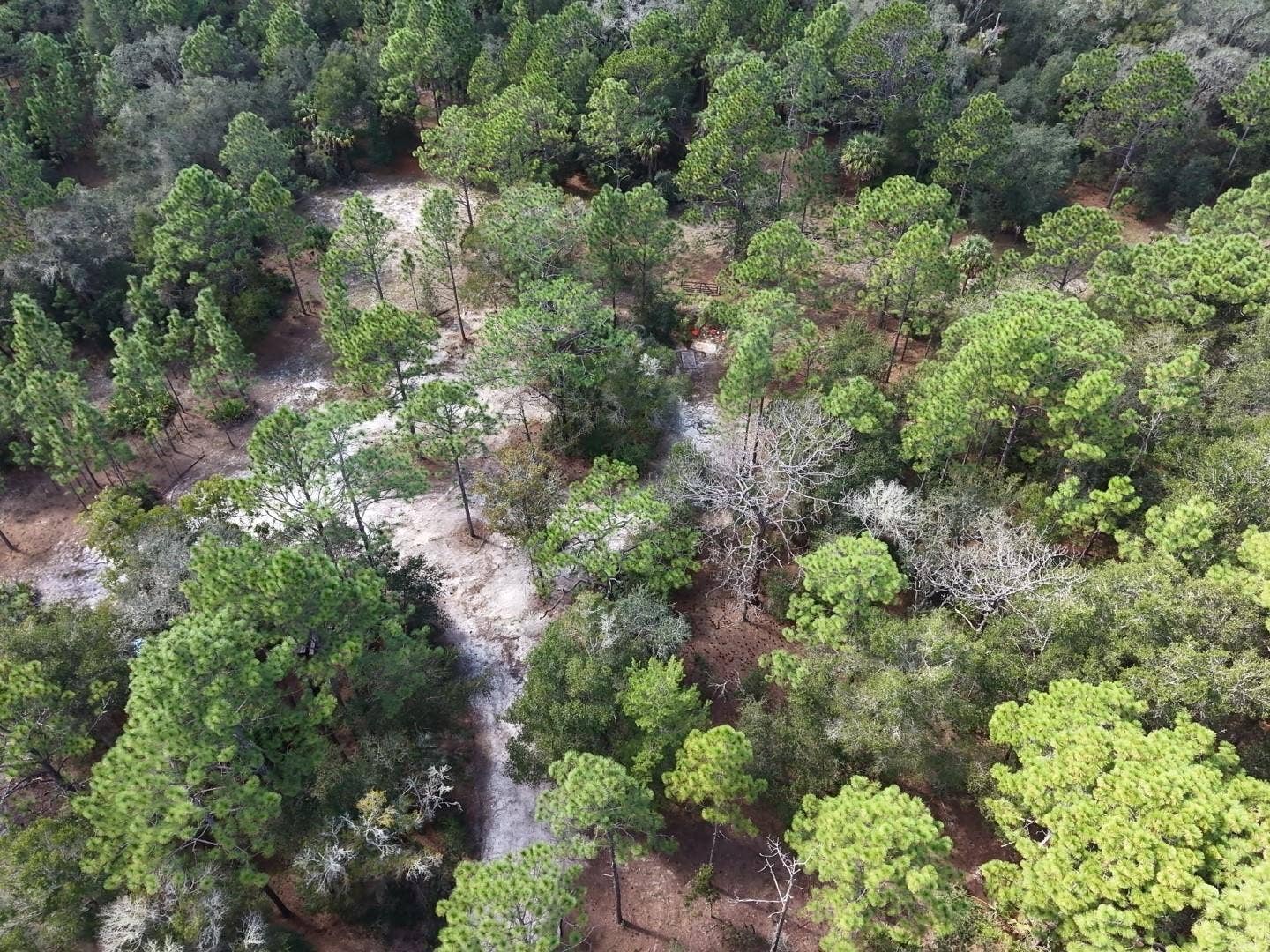 7416 N NATHAN POINT, Crystal River, FL 34428 7416 N NATHAN POINT, Crystal River, FL 34428