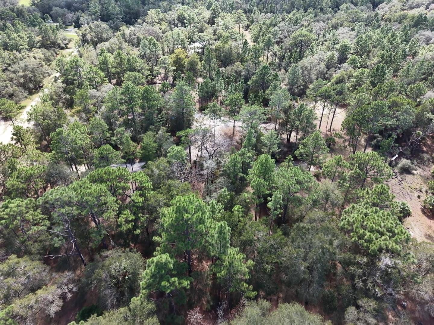 7416 N NATHAN POINT, Crystal River, FL 34428 7416 N NATHAN POINT, Crystal River, FL 34428