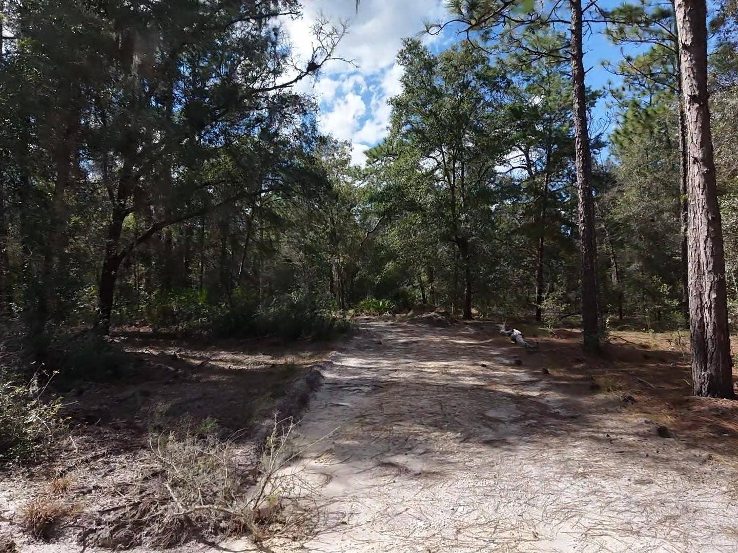 7416 N NATHAN POINT, Crystal River, FL 34428 Further back in the Driveway