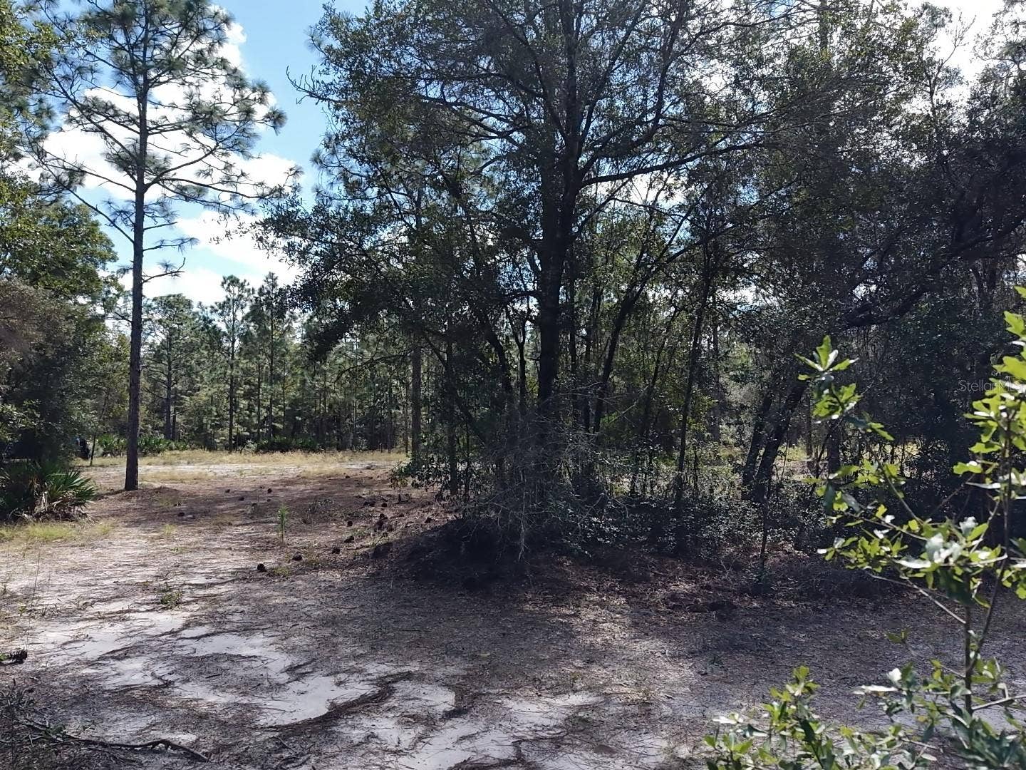 7416 N NATHAN POINT, Crystal River, FL 34428 7416 N NATHAN POINT, Crystal River, FL 34428
