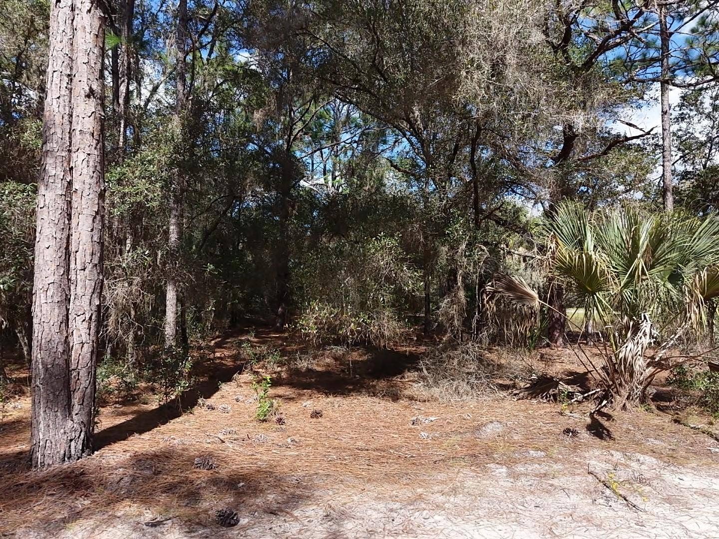 7416 N NATHAN POINT, Crystal River, FL 34428 7416 N NATHAN POINT, Crystal River, FL 34428