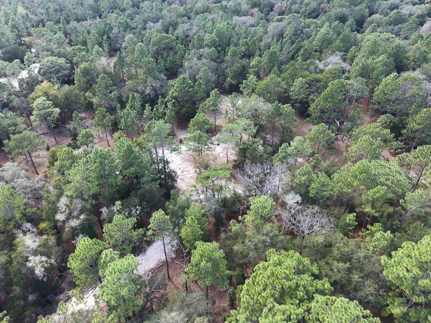 7416 N NATHAN POINT, Crystal River, FL 34428 7416 N NATHAN POINT, Crystal River, FL 34428