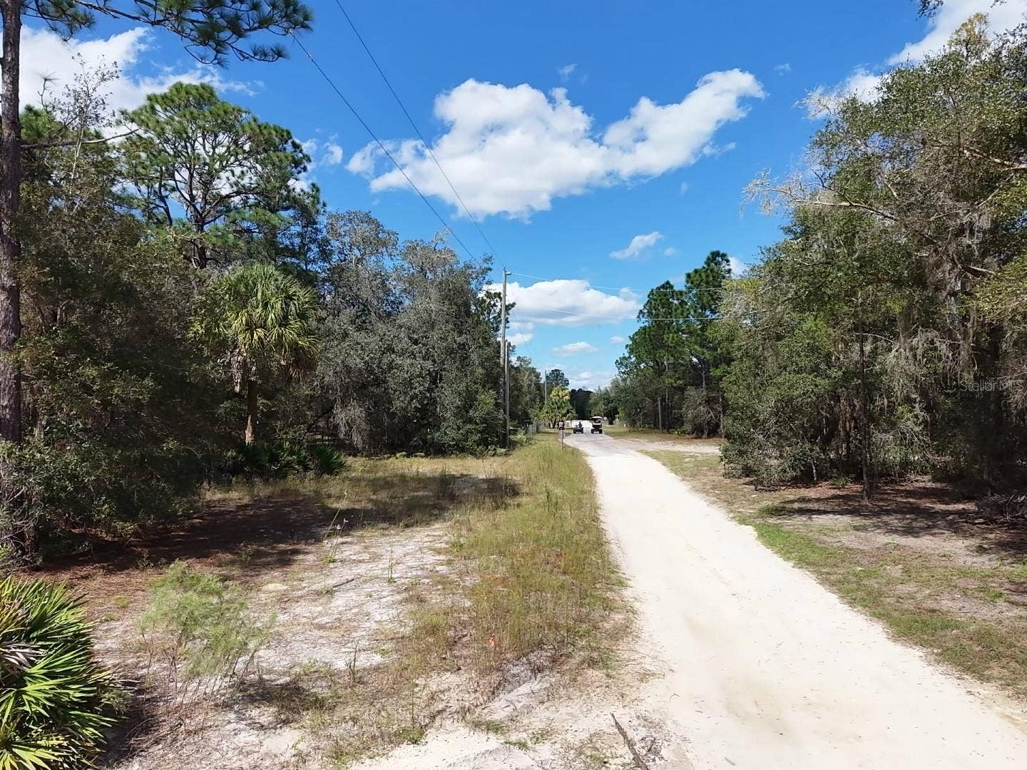 7416 N NATHAN POINT, Crystal River, FL 34428 Looking North on Nathan Drive