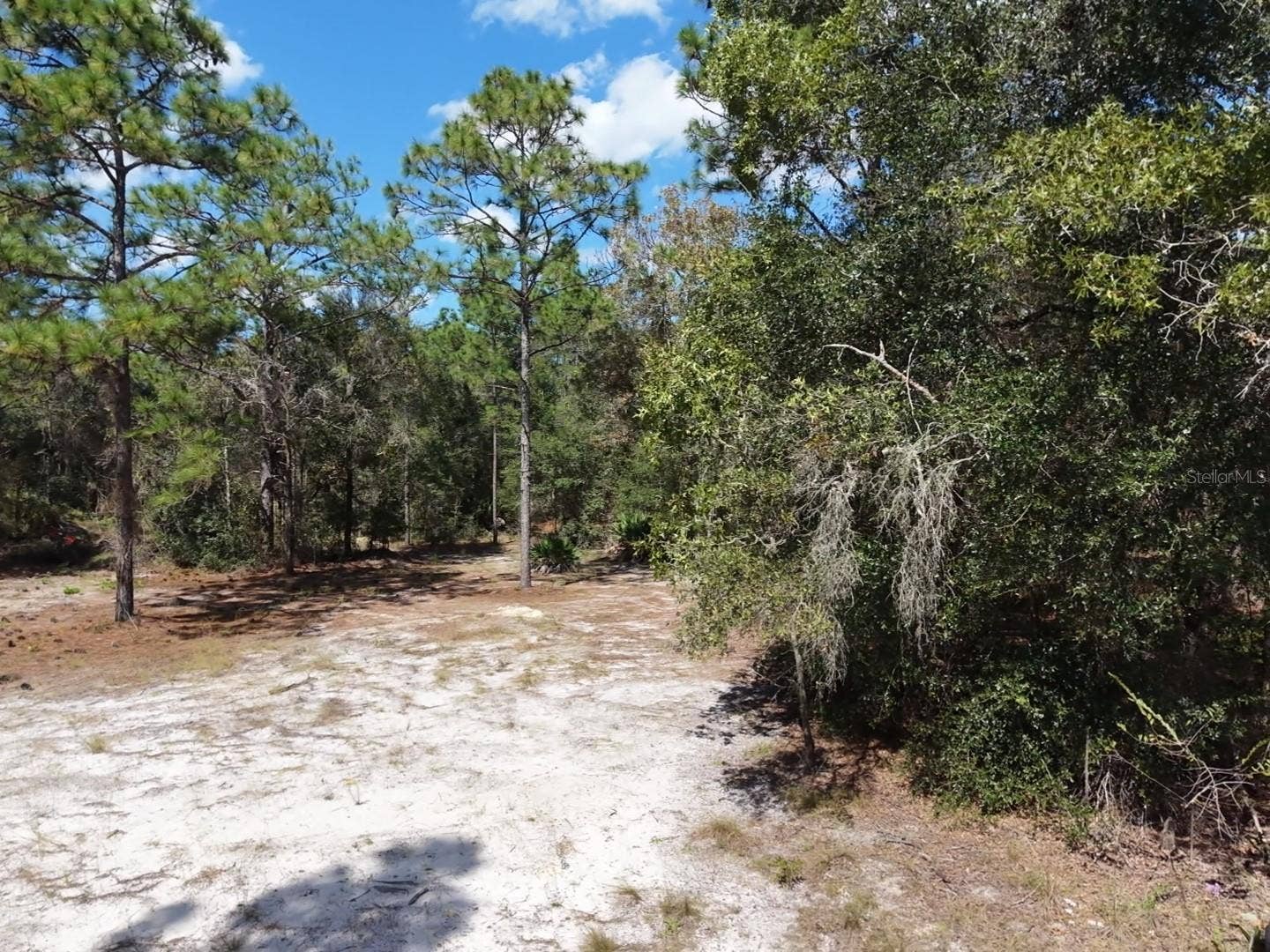 7416 N NATHAN POINT, Crystal River, FL 34428 7416 N NATHAN POINT, Crystal River, FL 34428