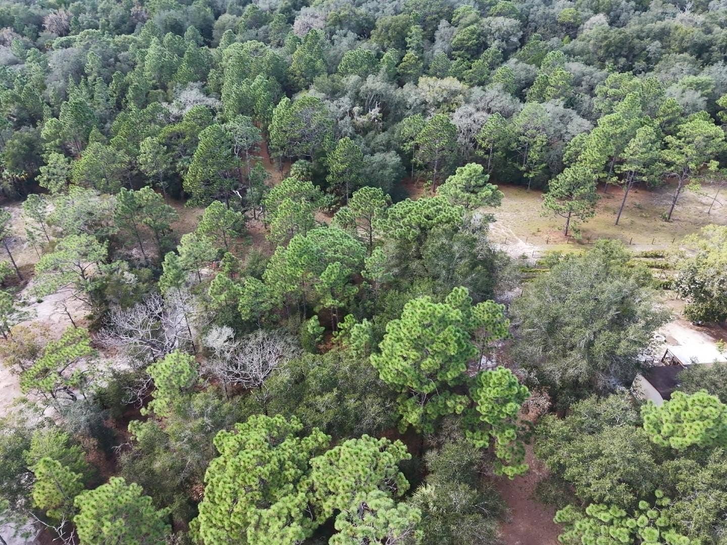 7416 N NATHAN POINT, Crystal River, FL 34428 7416 N NATHAN POINT, Crystal River, FL 34428