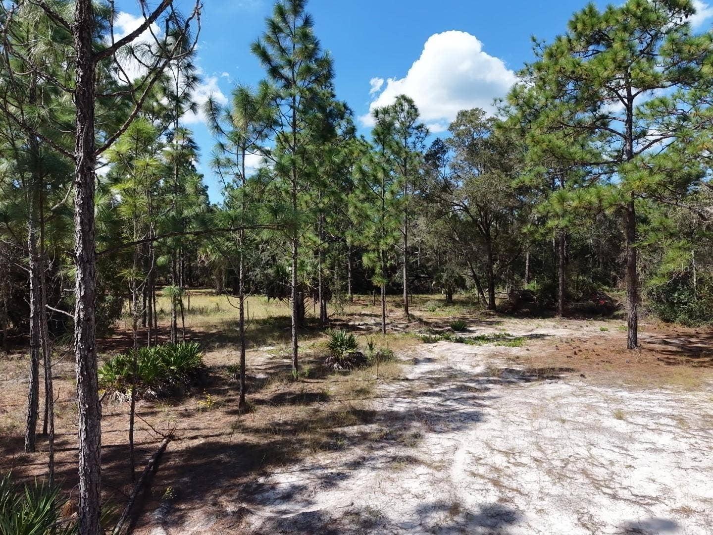 7416 N NATHAN POINT, Crystal River, FL 34428 7416 N NATHAN POINT, Crystal River, FL 34428