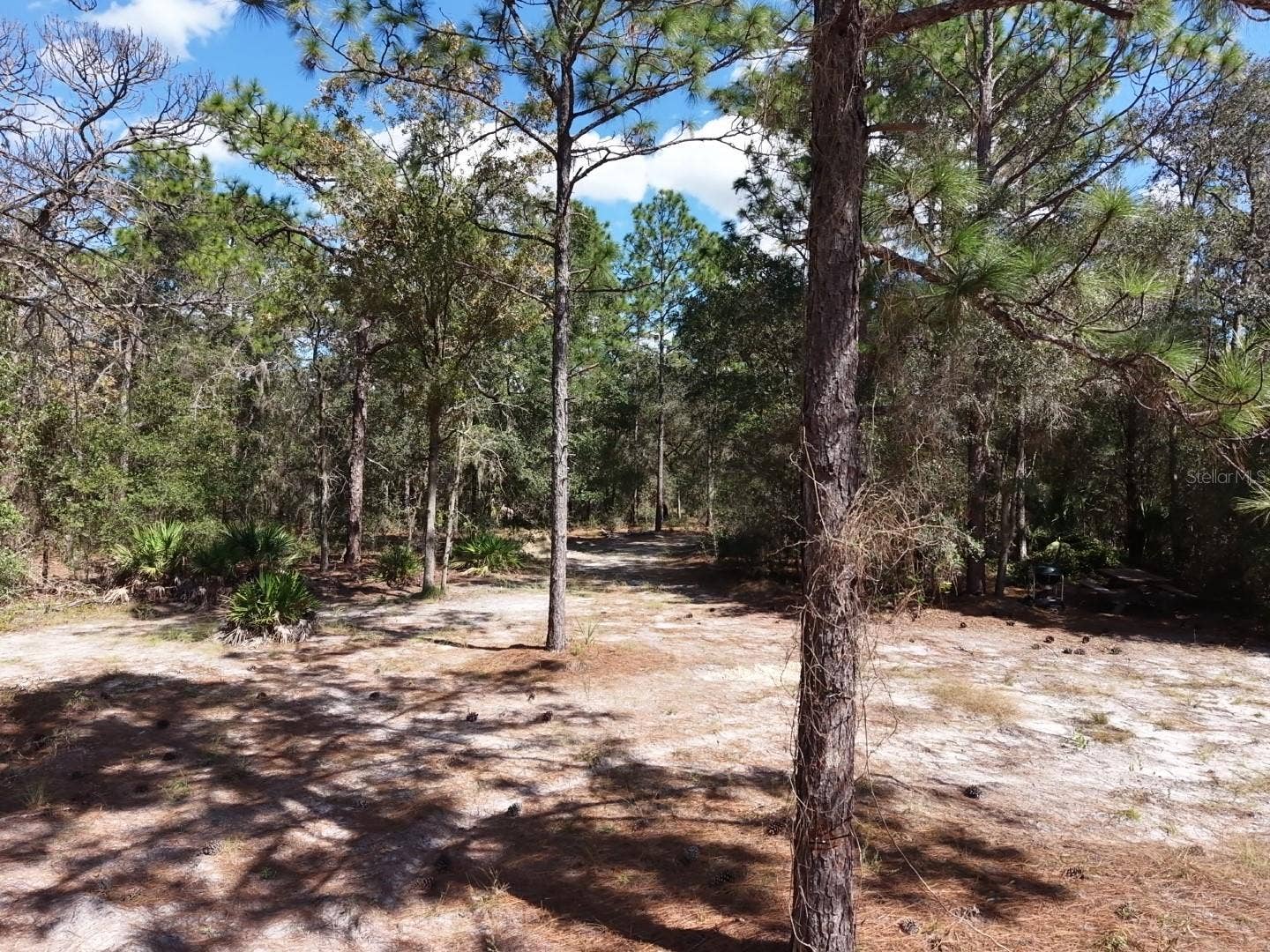 7416 N NATHAN POINT, Crystal River, FL 34428 7416 N NATHAN POINT, Crystal River, FL 34428
