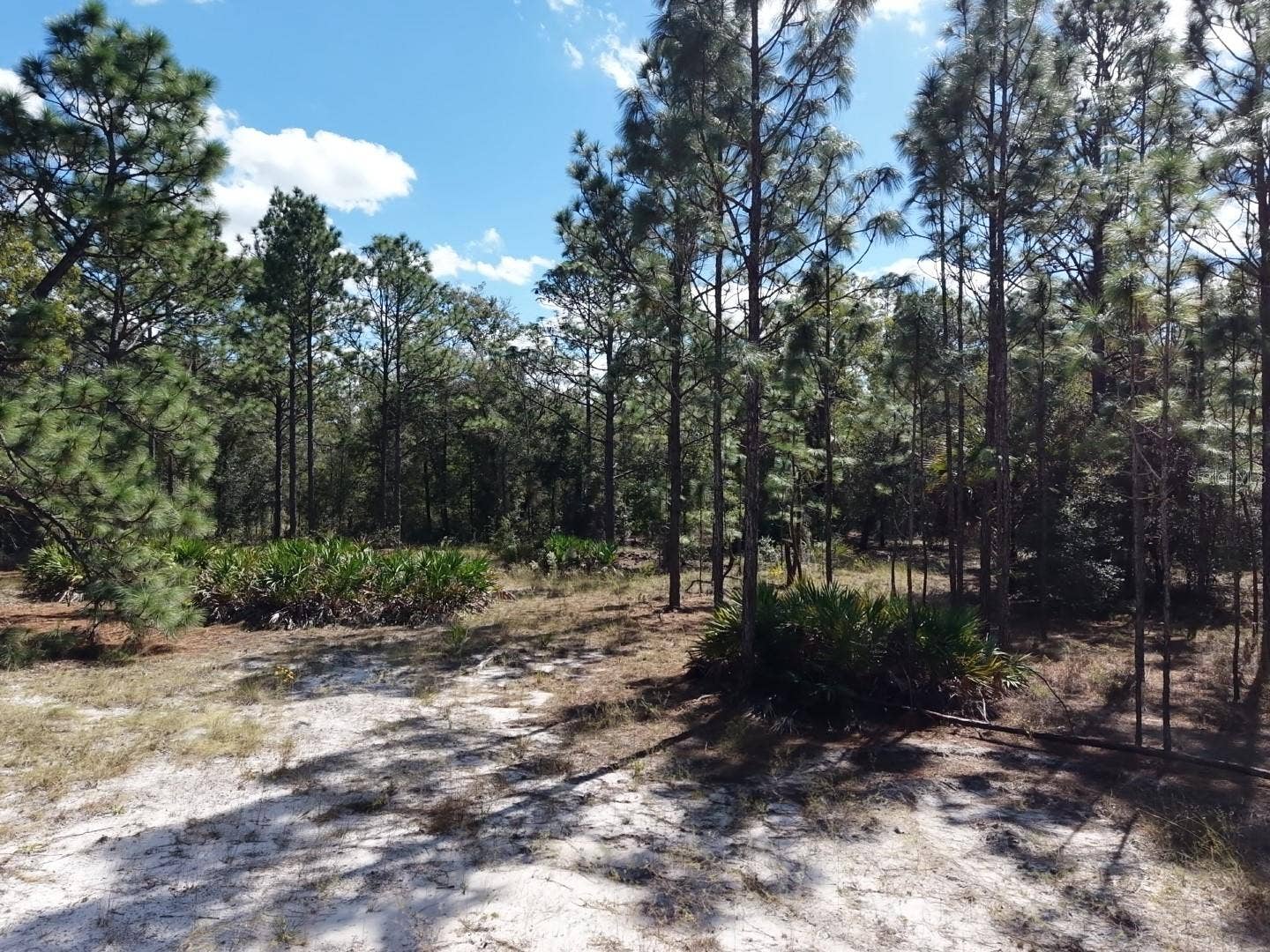 7416 N NATHAN POINT, Crystal River, FL 34428 7416 N NATHAN POINT, Crystal River, FL 34428