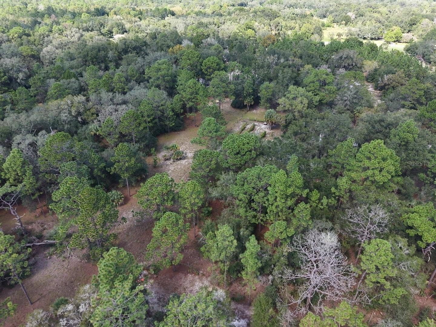 7416 N NATHAN POINT, Crystal River, FL 34428 7416 N NATHAN POINT, Crystal River, FL 34428