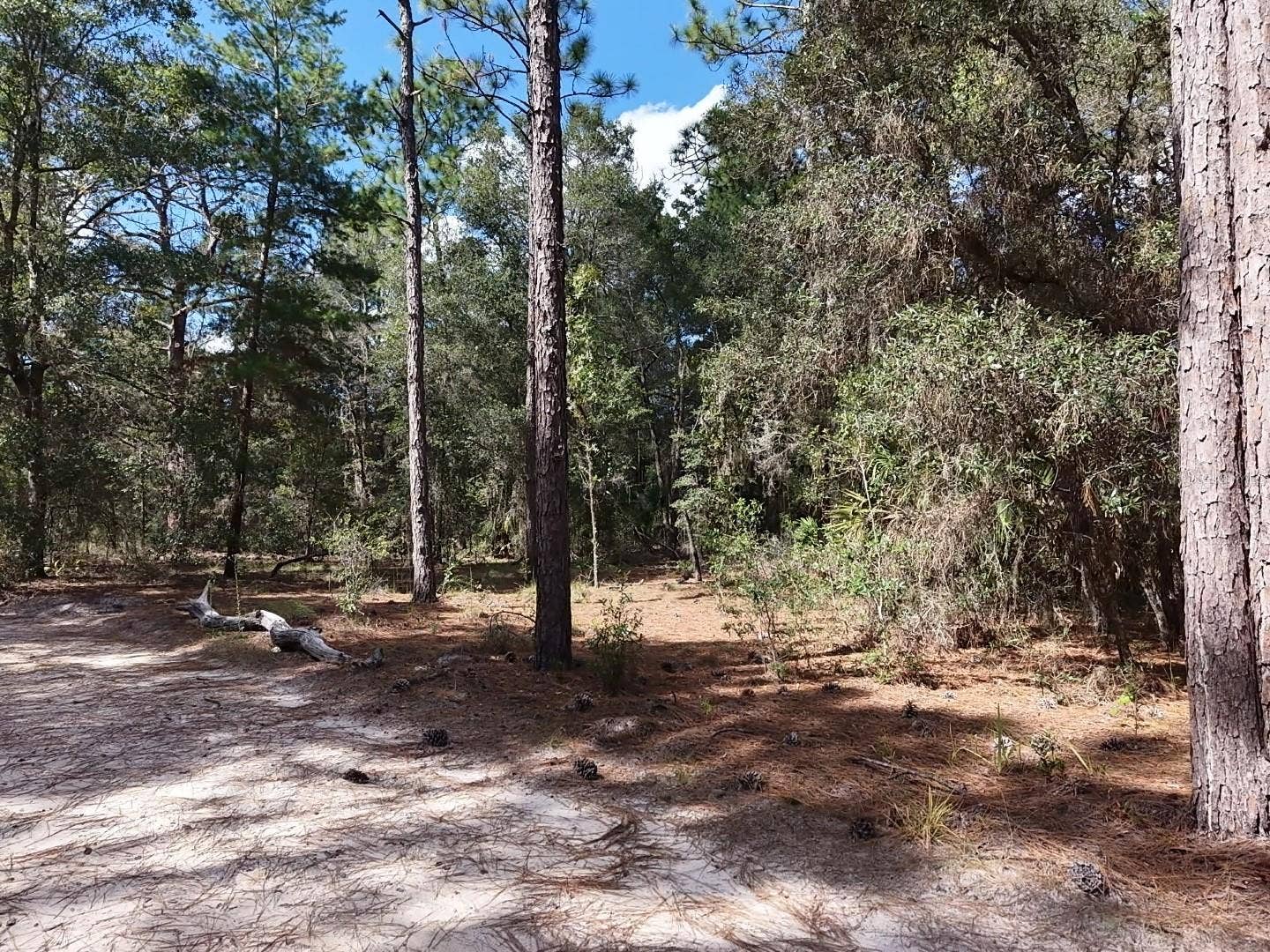 7416 N NATHAN POINT, Crystal River, FL 34428 7416 N NATHAN POINT, Crystal River, FL 34428