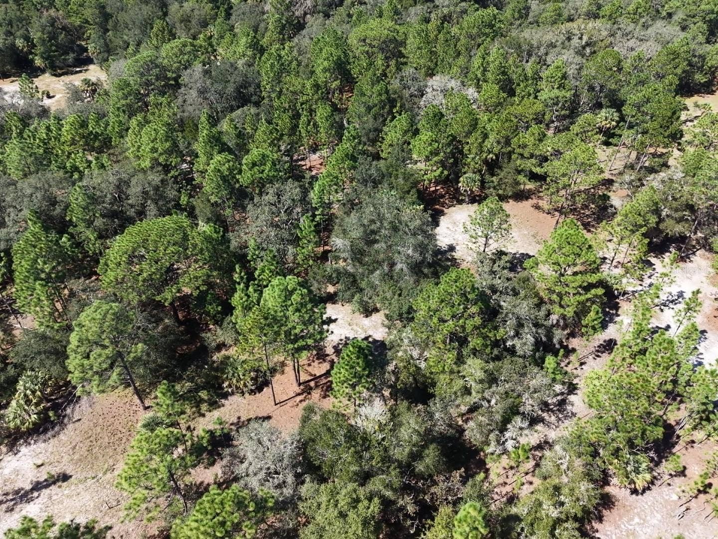 7416 N NATHAN POINT, Crystal River, FL 34428 7416 N NATHAN POINT, Crystal River, FL 34428