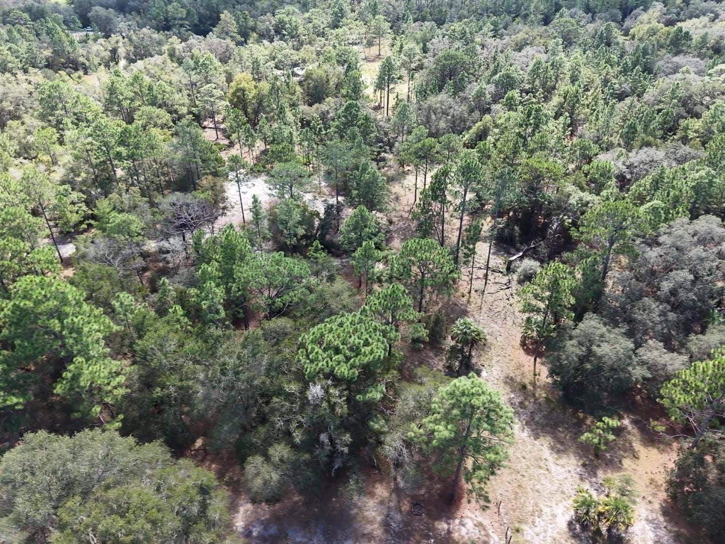 7416 N NATHAN POINT, Crystal River, FL 34428 7416 N NATHAN POINT, Crystal River, FL 34428