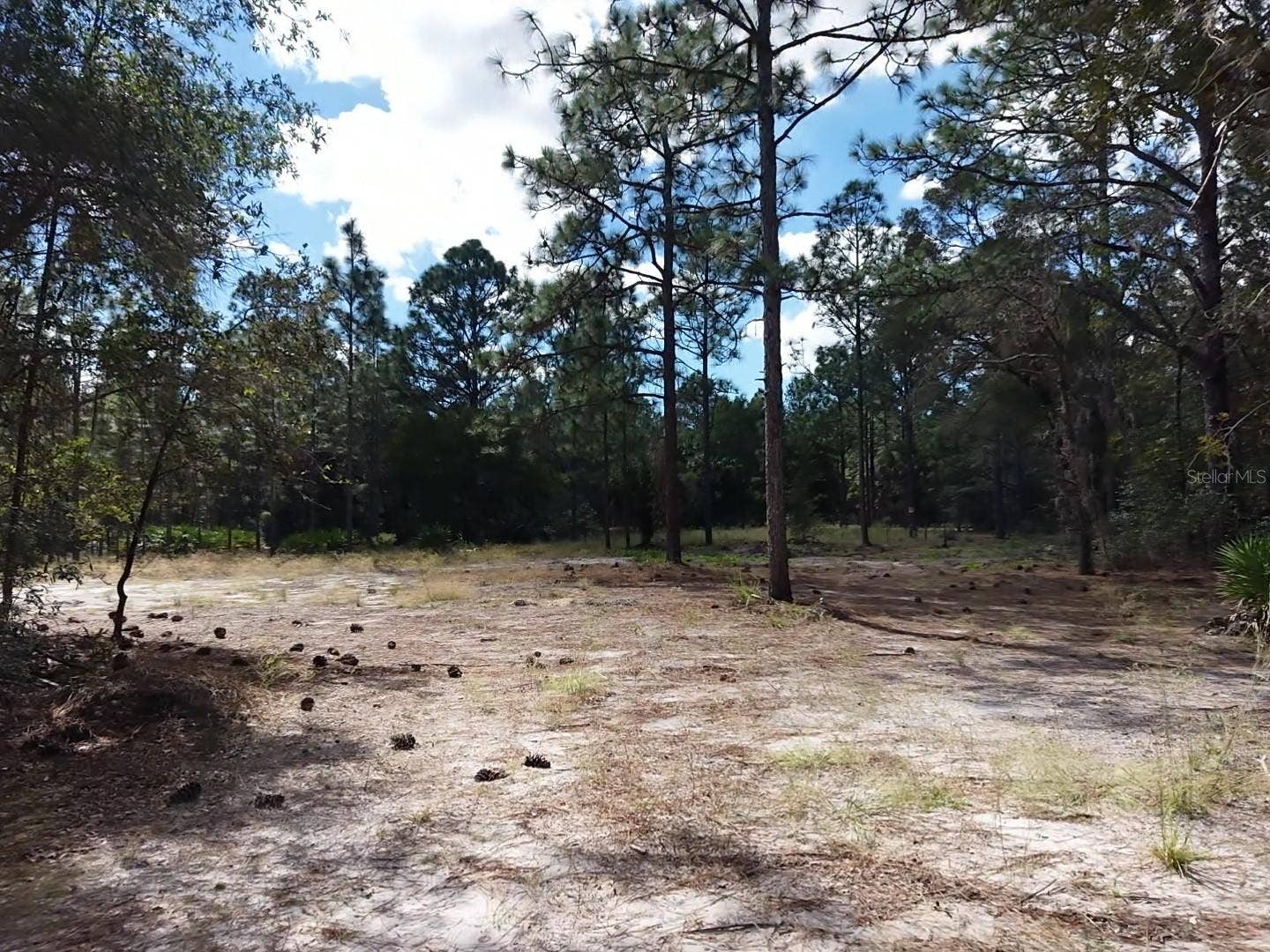 7416 N NATHAN POINT, Crystal River, FL 34428 7416 N NATHAN POINT, Crystal River, FL 34428
