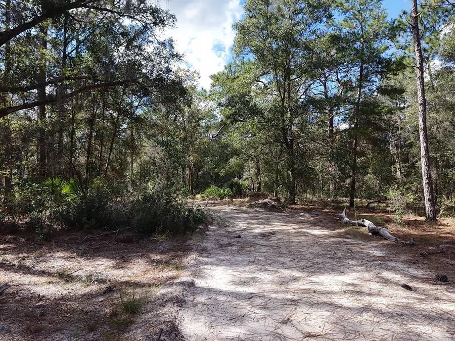 Property photo for 7416 N NATHAN POINT, Crystal River, FL