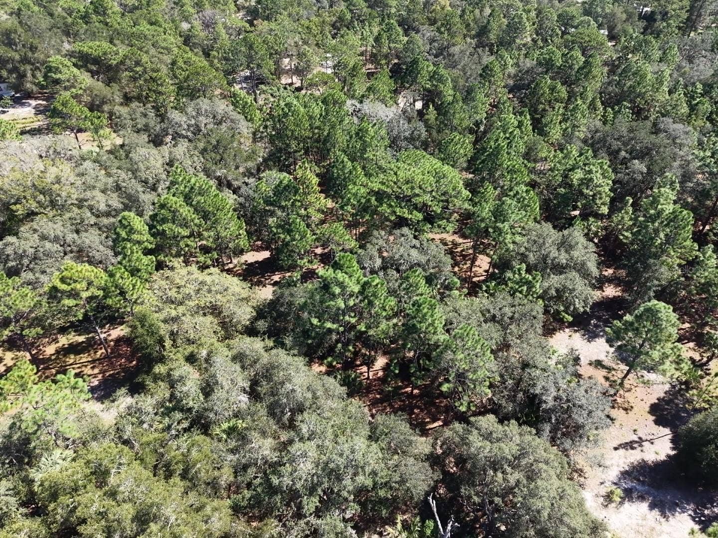 7416 N NATHAN POINT, Crystal River, FL 34428 7416 N NATHAN POINT, Crystal River, FL 34428