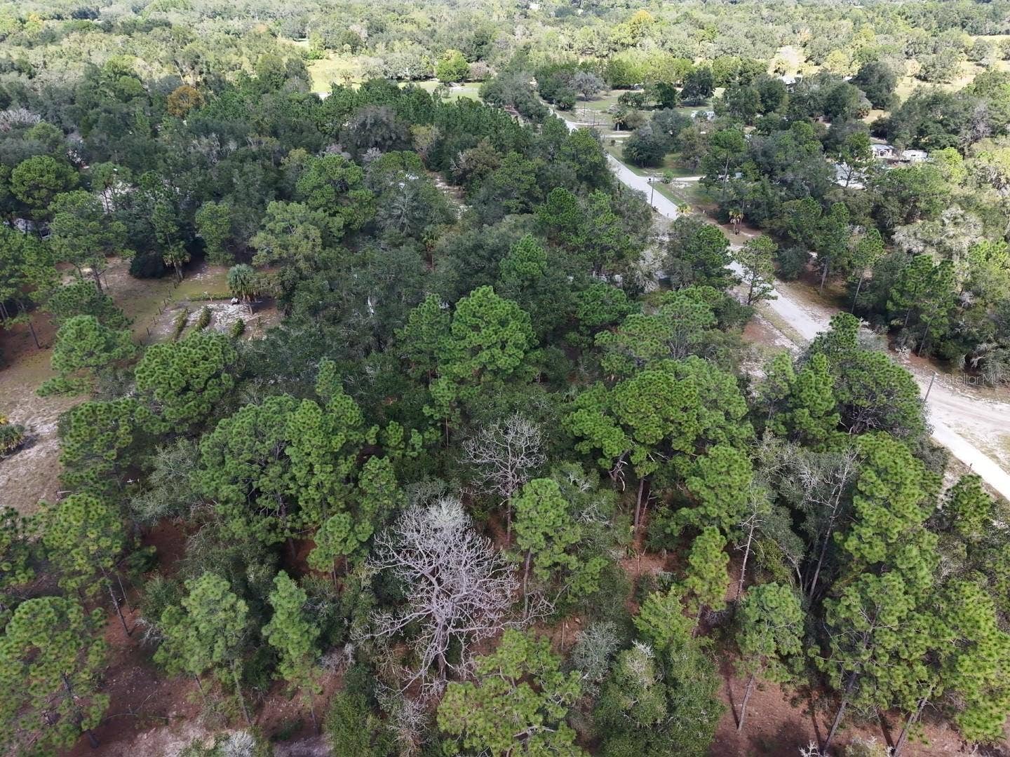 7416 N NATHAN POINT, Crystal River, FL 34428 7416 N NATHAN POINT, Crystal River, FL 34428