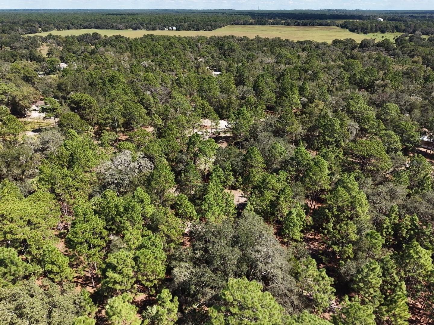 7416 N NATHAN POINT, Crystal River, FL 34428 7416 N NATHAN POINT, Crystal River, FL 34428