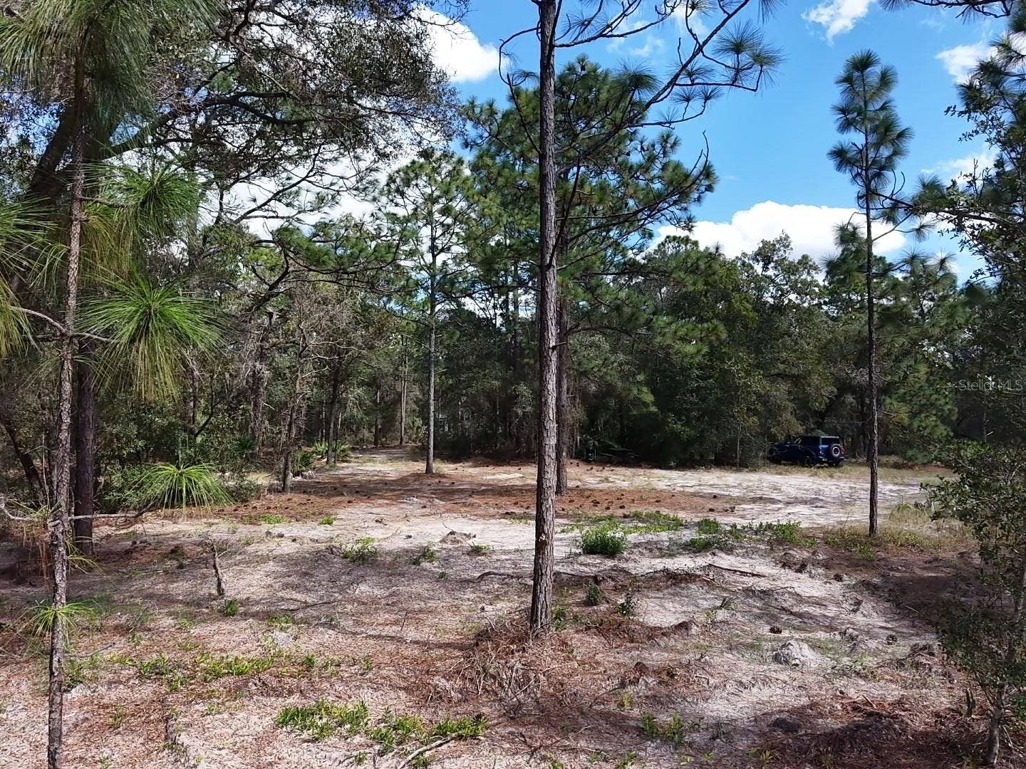 7416 N NATHAN POINT, Crystal River, FL 34428 7416 N NATHAN POINT, Crystal River, FL 34428
