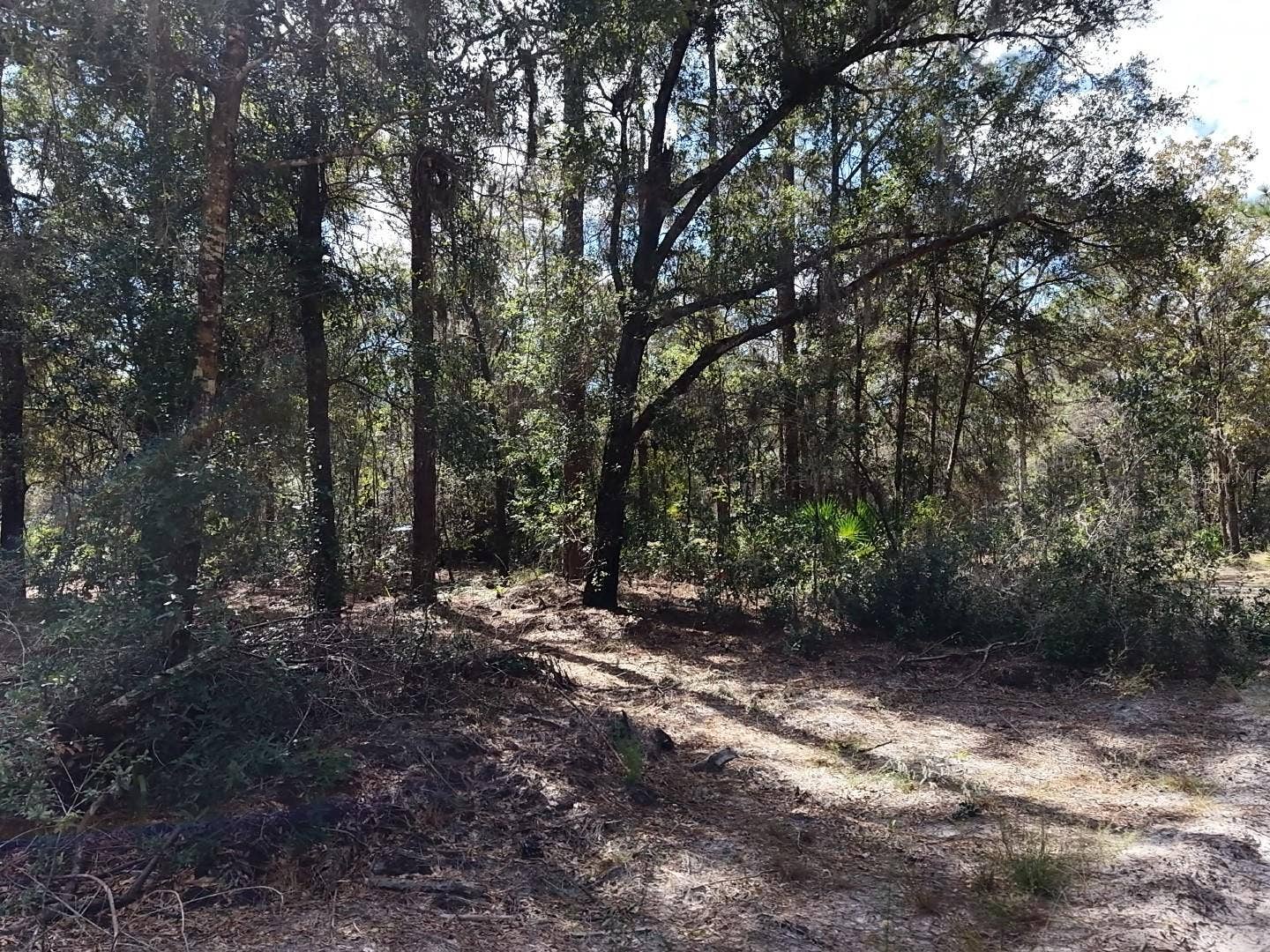 7416 N NATHAN POINT, Crystal River, FL 34428 7416 N NATHAN POINT, Crystal River, FL 34428