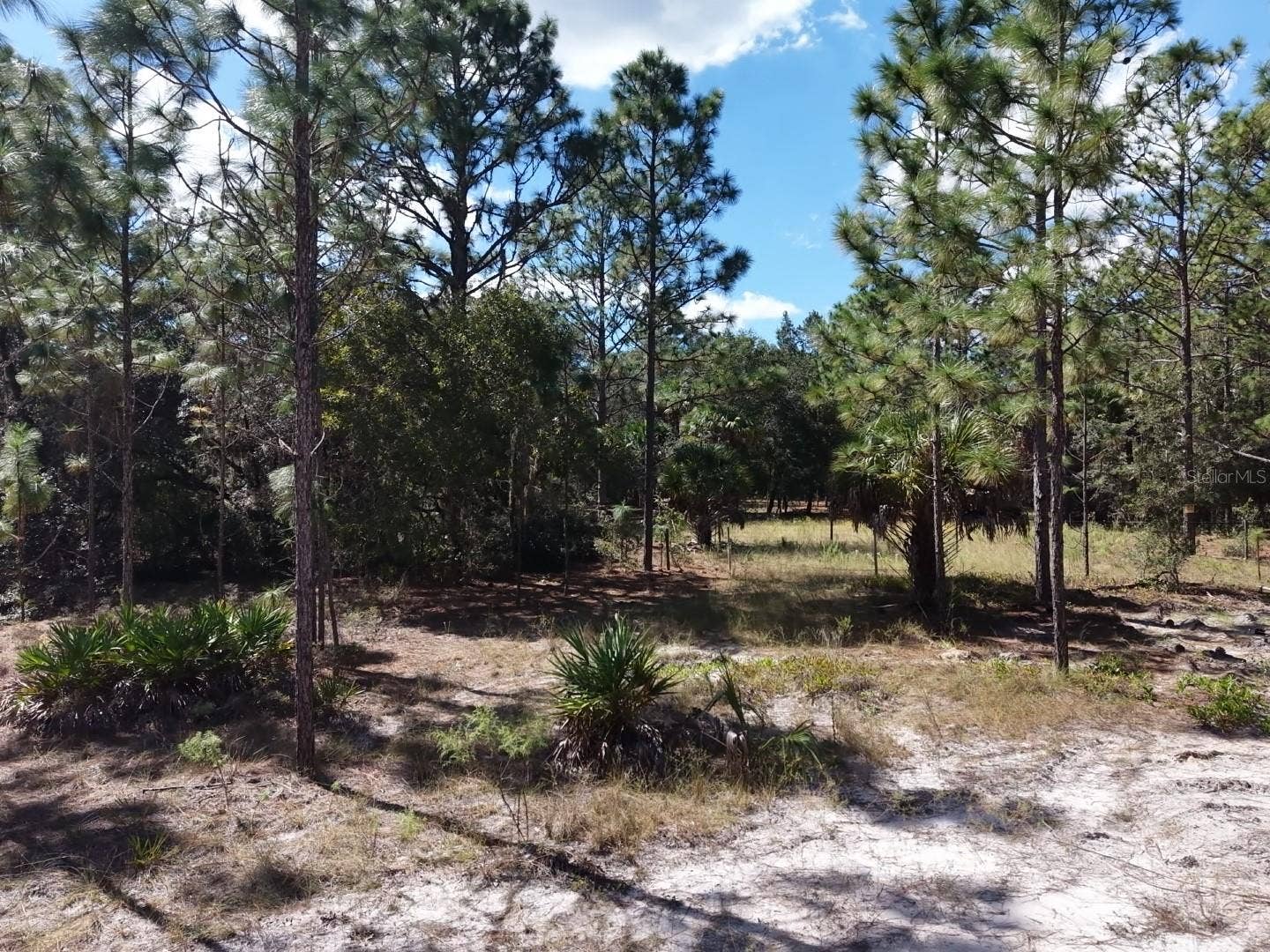 7416 N NATHAN POINT, Crystal River, FL 34428 7416 N NATHAN POINT, Crystal River, FL 34428