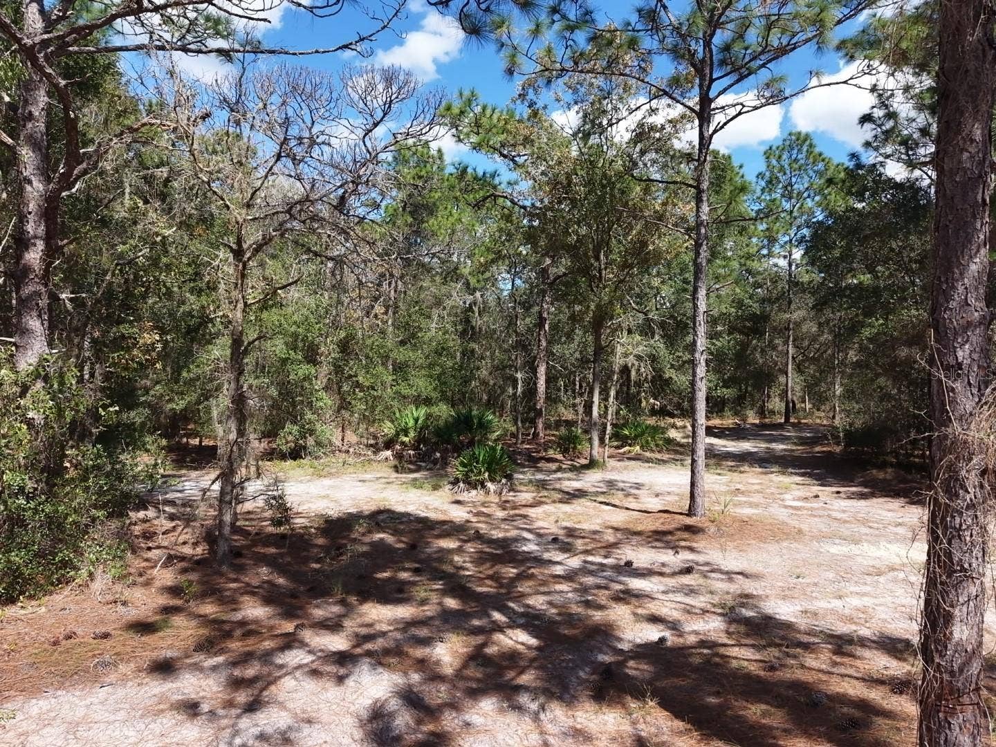 7416 N NATHAN POINT, Crystal River, FL 34428 7416 N NATHAN POINT, Crystal River, FL 34428