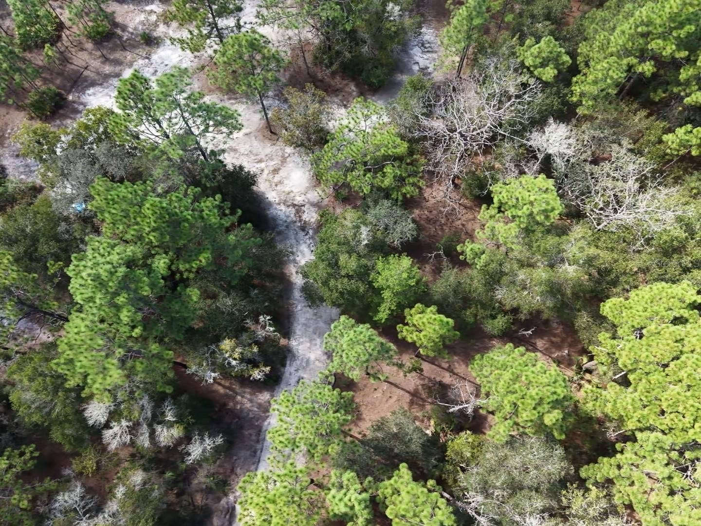 7416 N NATHAN POINT, Crystal River, FL 34428 7416 N NATHAN POINT, Crystal River, FL 34428
