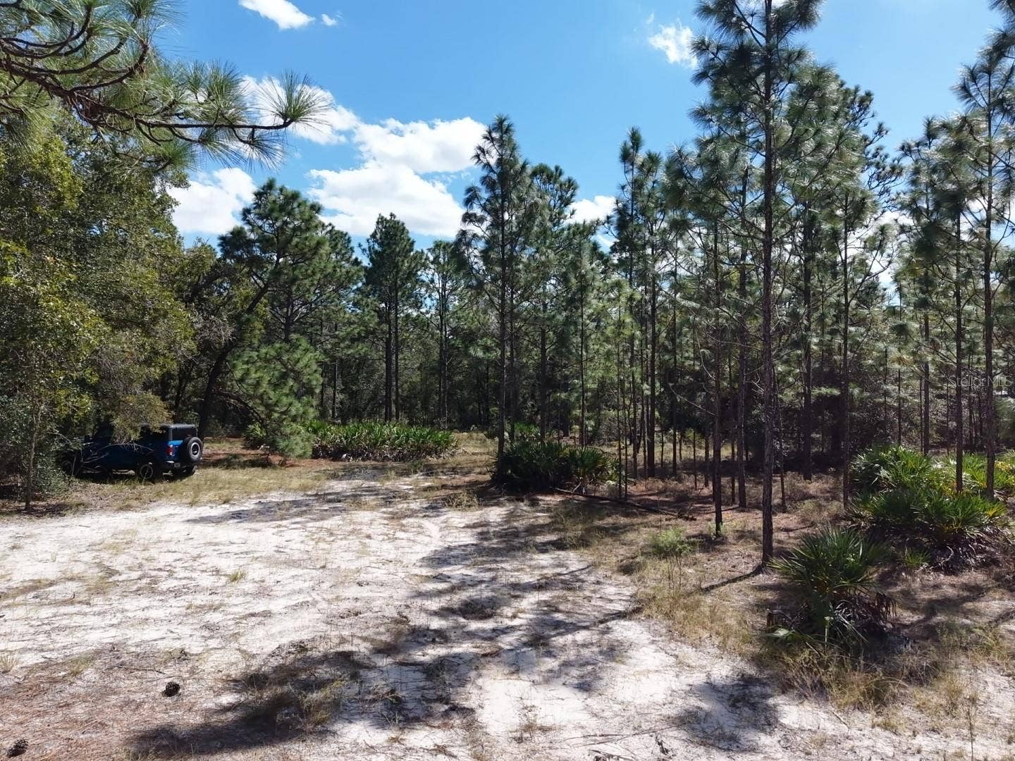 7416 N NATHAN POINT, Crystal River, FL 34428 7416 N NATHAN POINT, Crystal River, FL 34428