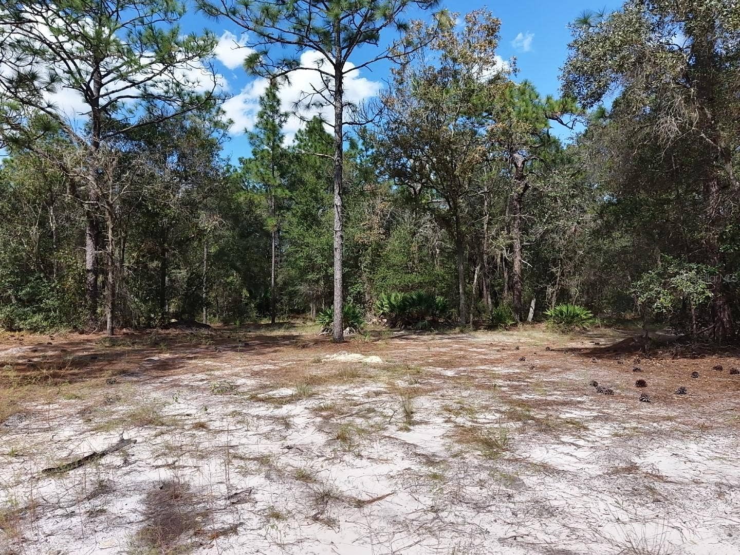 7416 N NATHAN POINT, Crystal River, FL 34428 7416 N NATHAN POINT, Crystal River, FL 34428