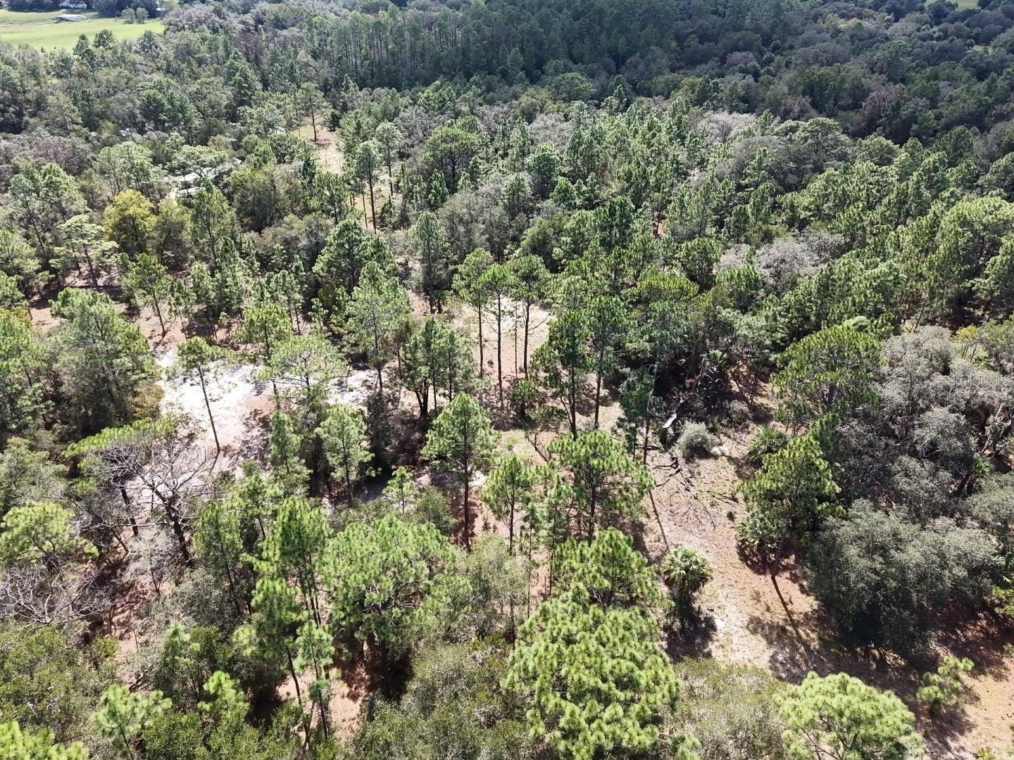 7416 N NATHAN POINT, Crystal River, FL 34428 7416 N NATHAN POINT, Crystal River, FL 34428