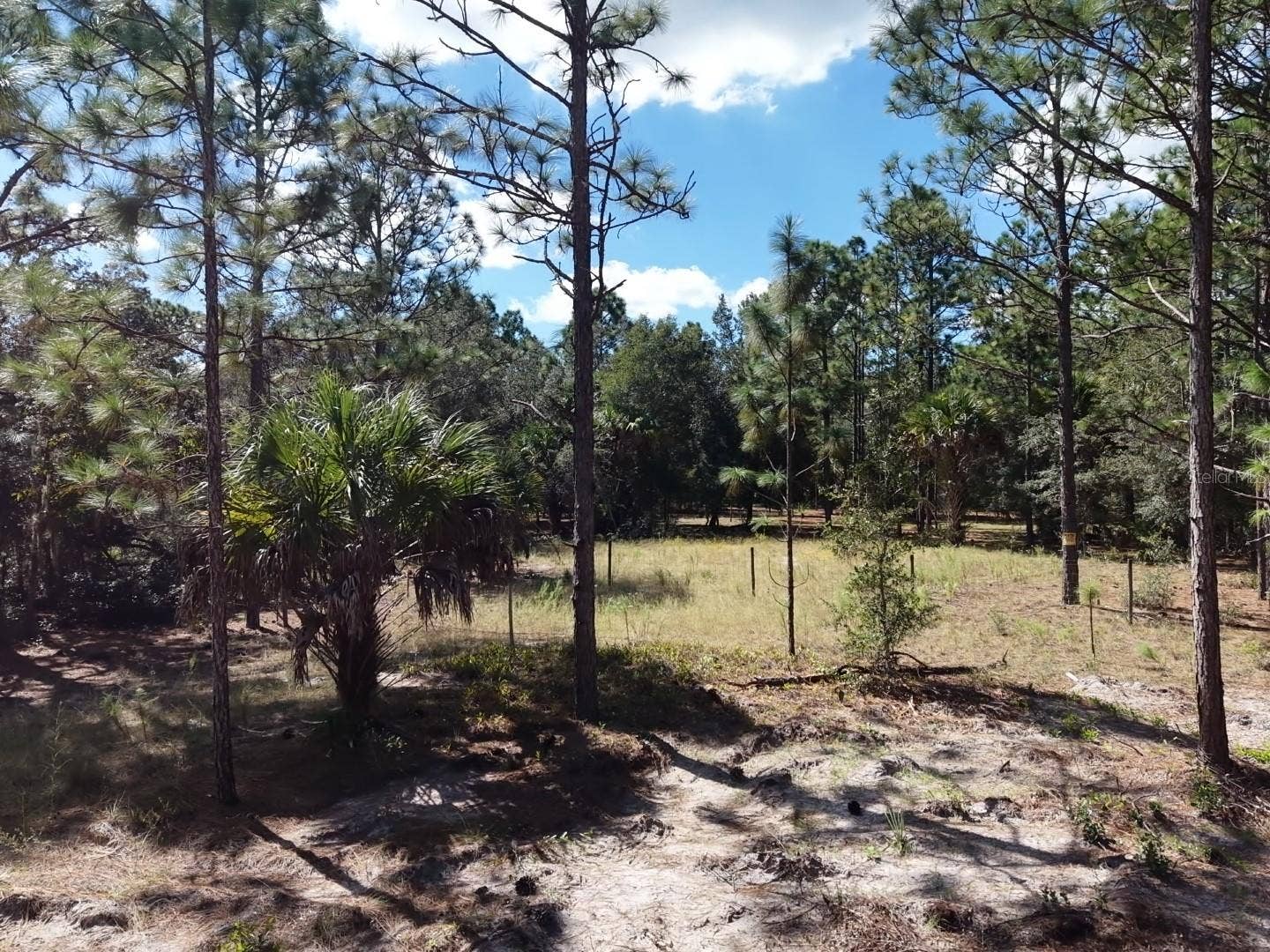 7416 N NATHAN POINT, Crystal River, FL 34428 7416 N NATHAN POINT, Crystal River, FL 34428