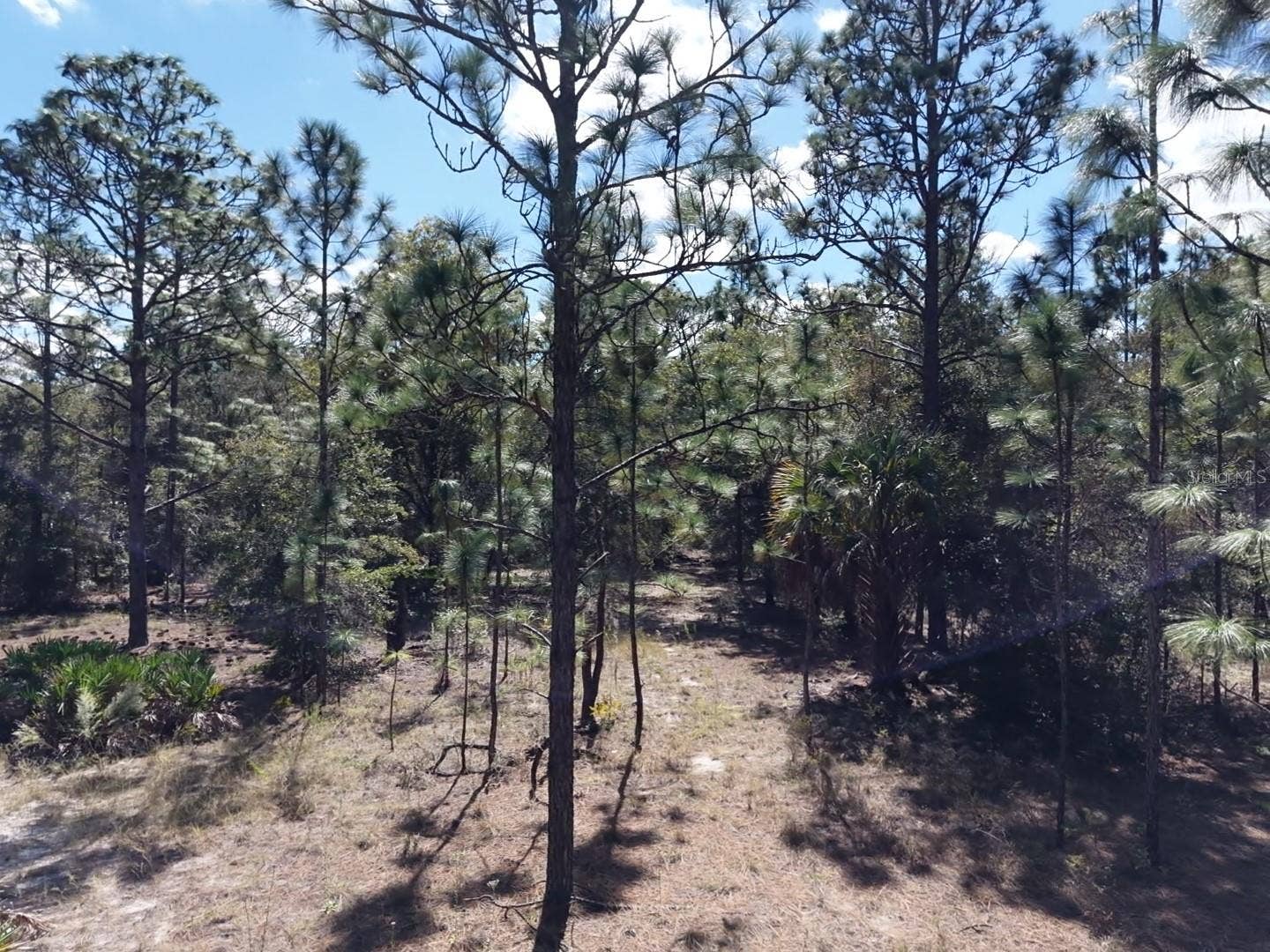 7416 N NATHAN POINT, Crystal River, FL 34428 7416 N NATHAN POINT, Crystal River, FL 34428